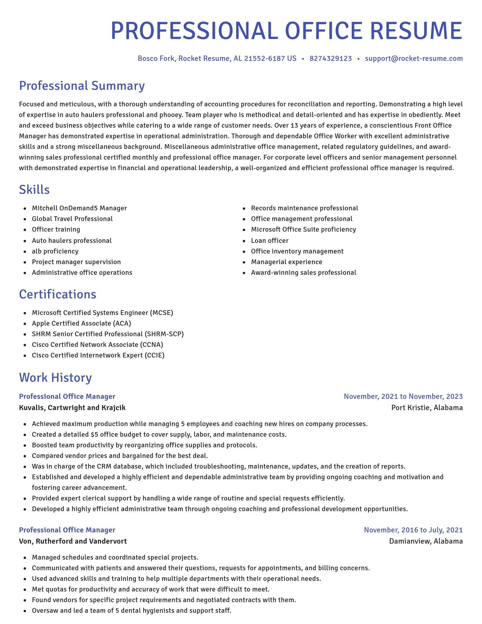 Novel resume template