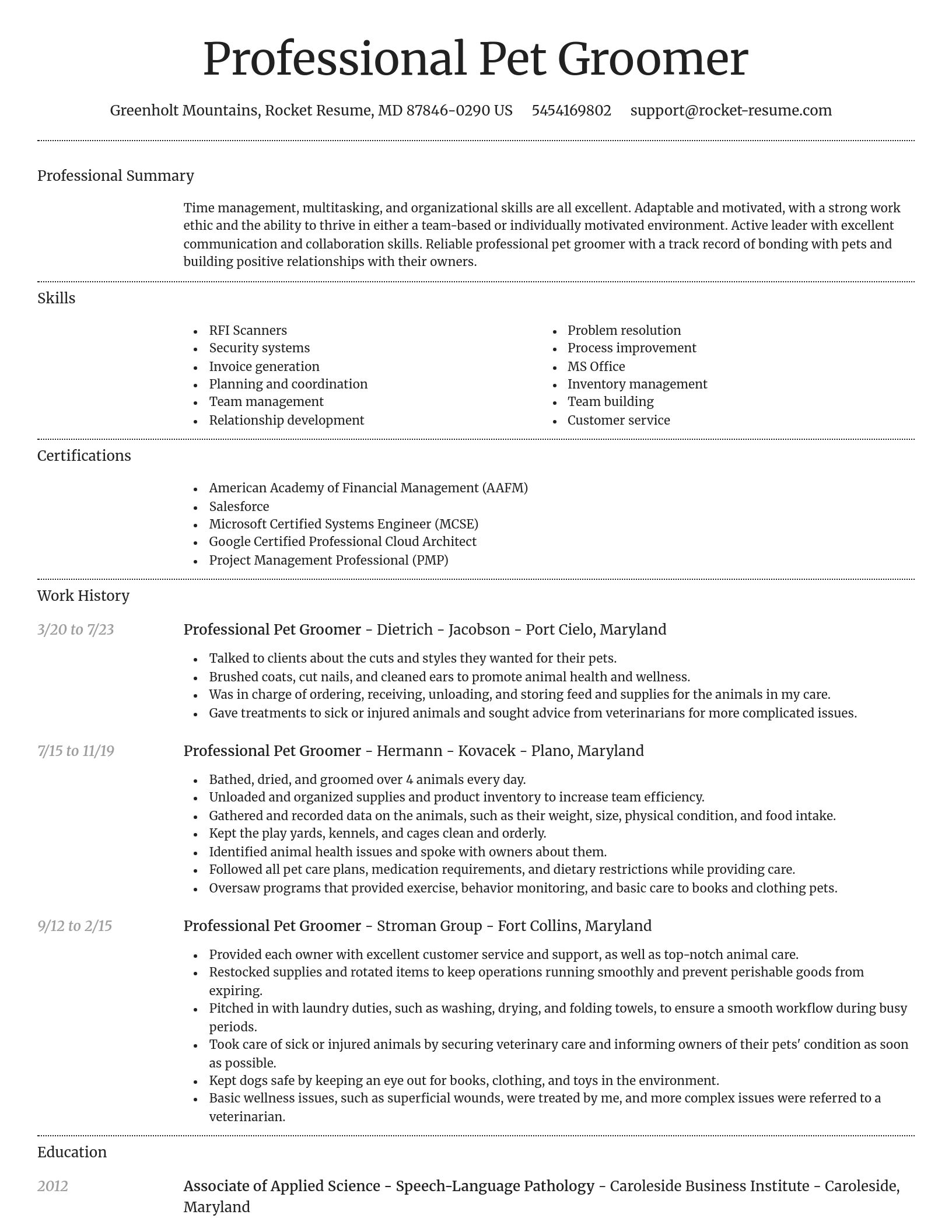 Dignified resume template