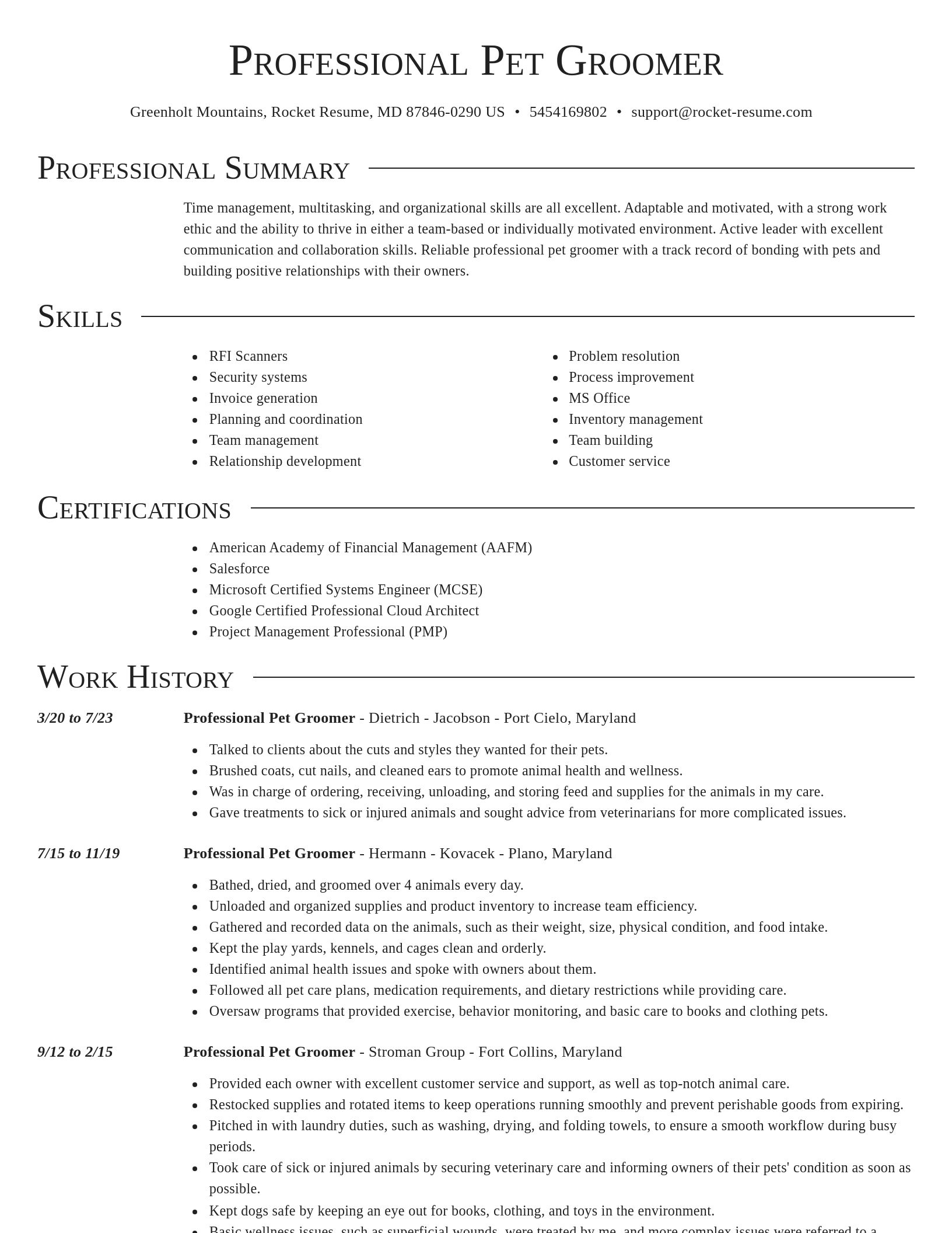 Director resume template
