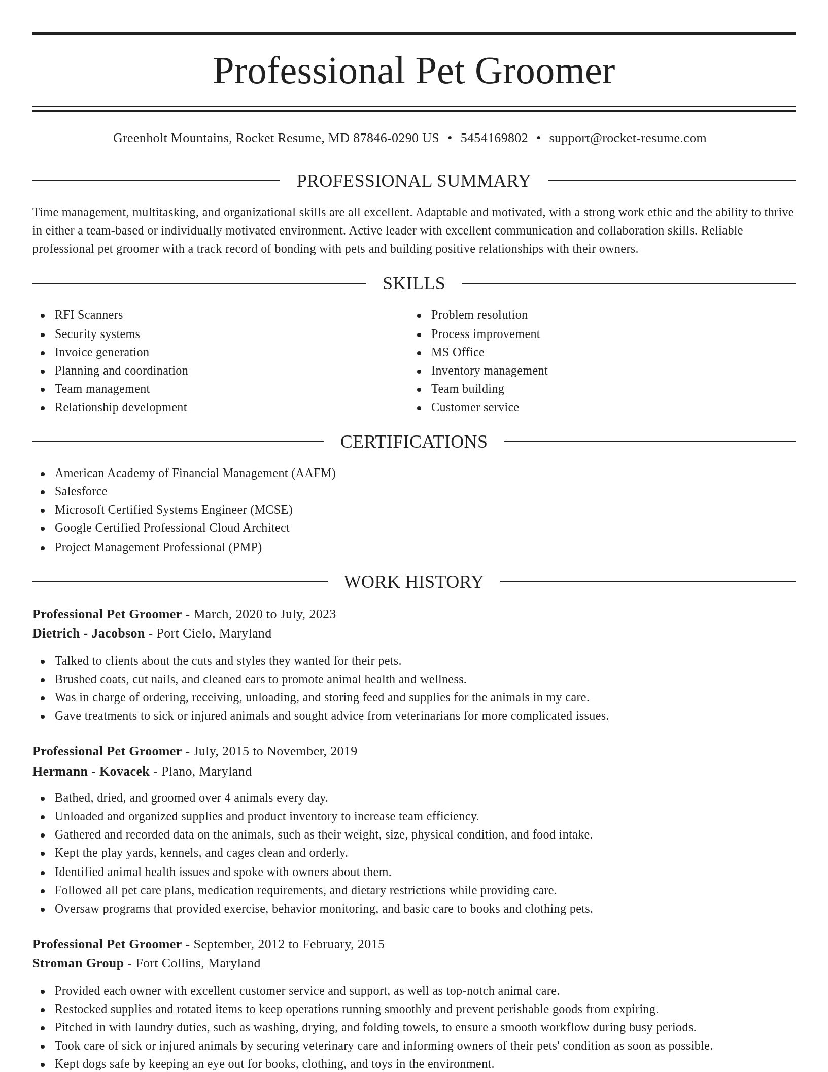 Elegant resume template