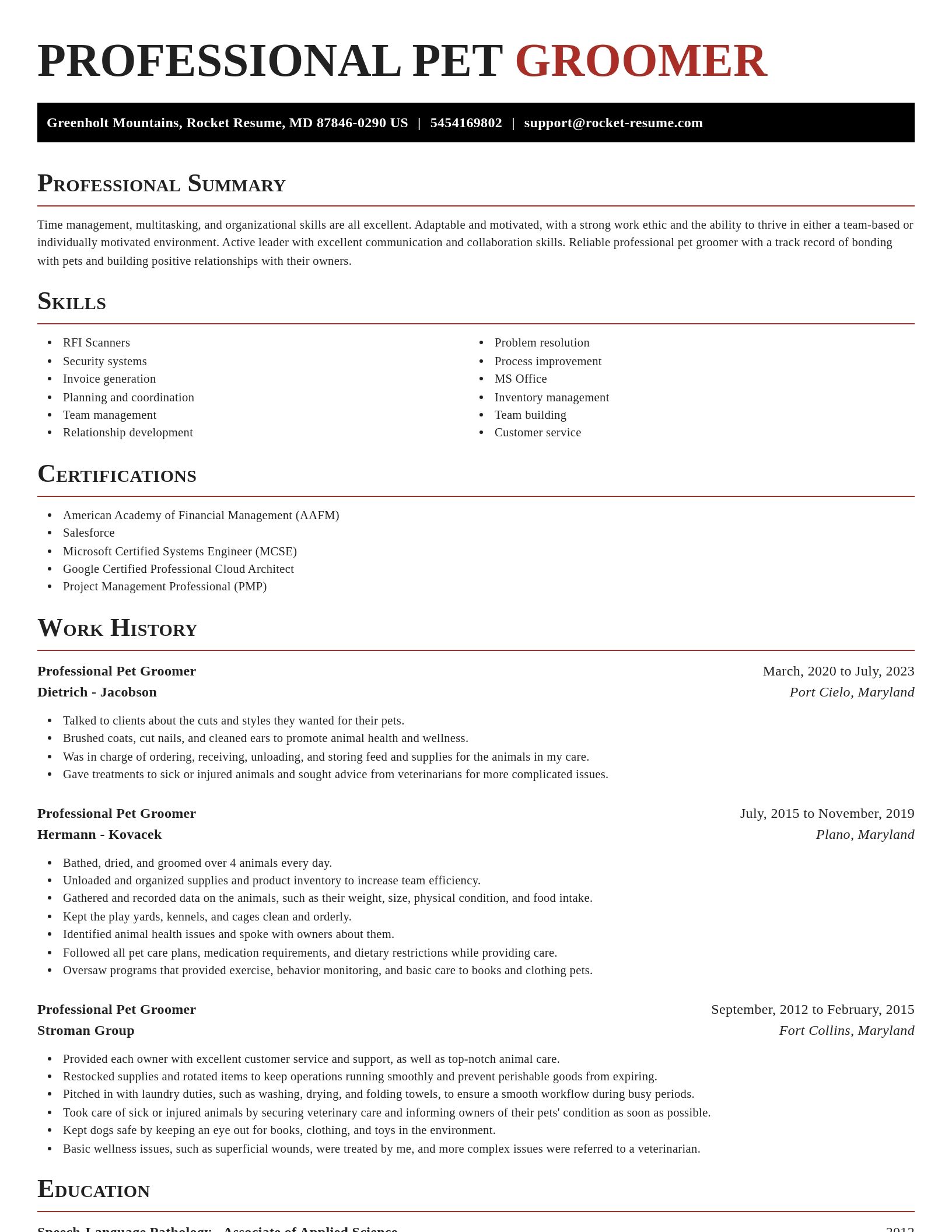 Exquisite resume template