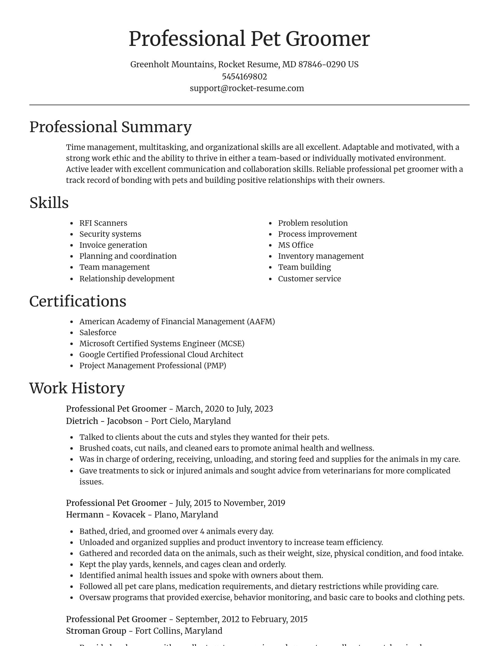 Focal Point resume template
