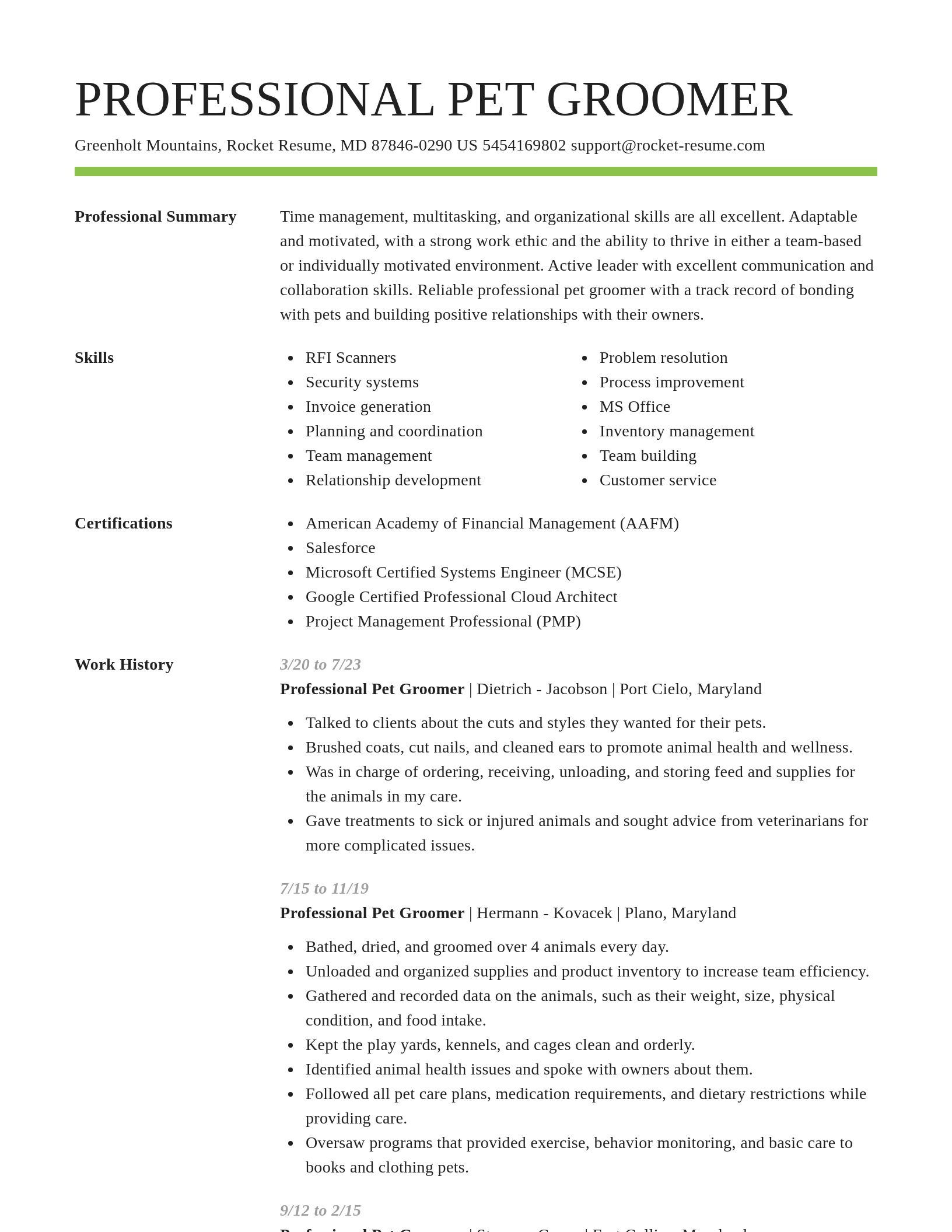 Smart resume template