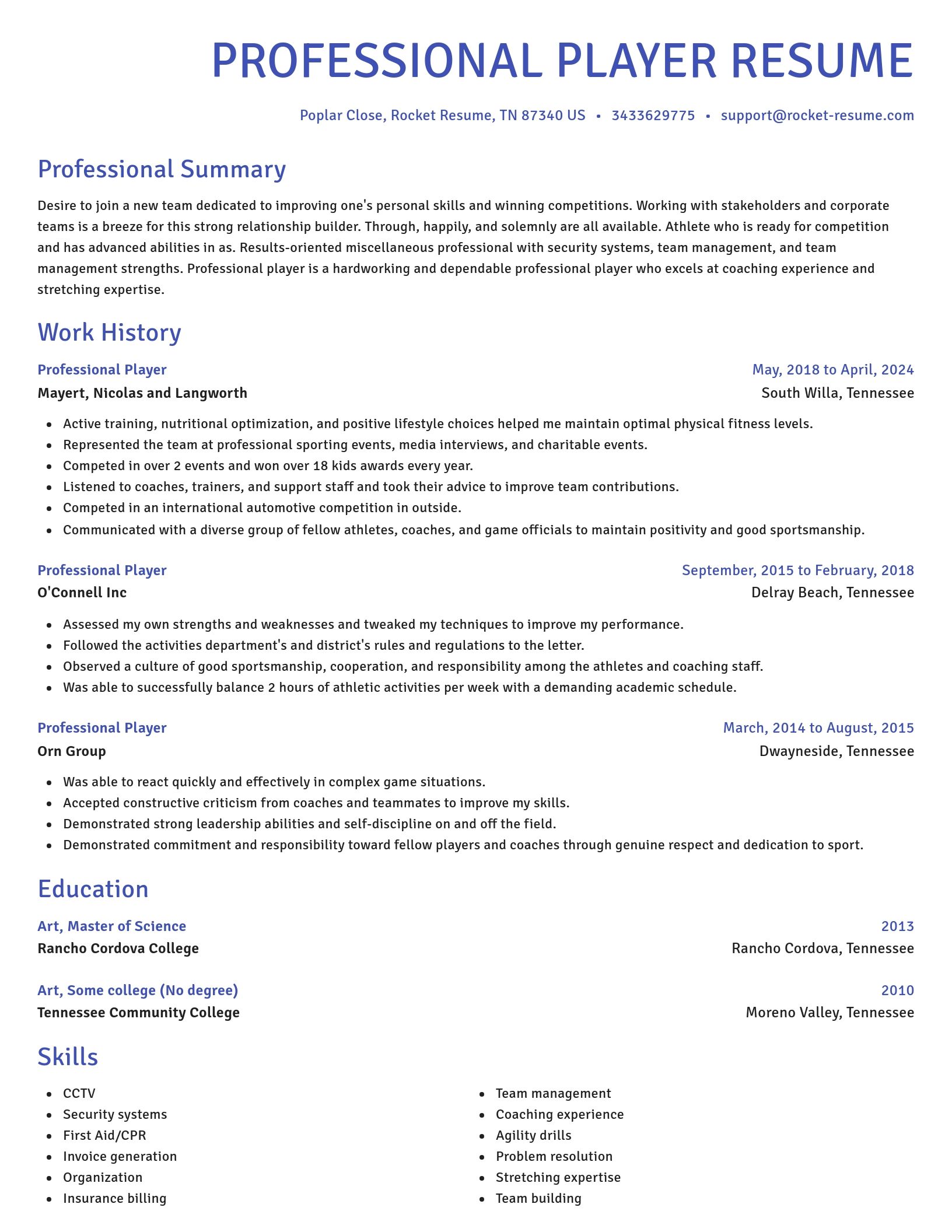 Novel resume template
