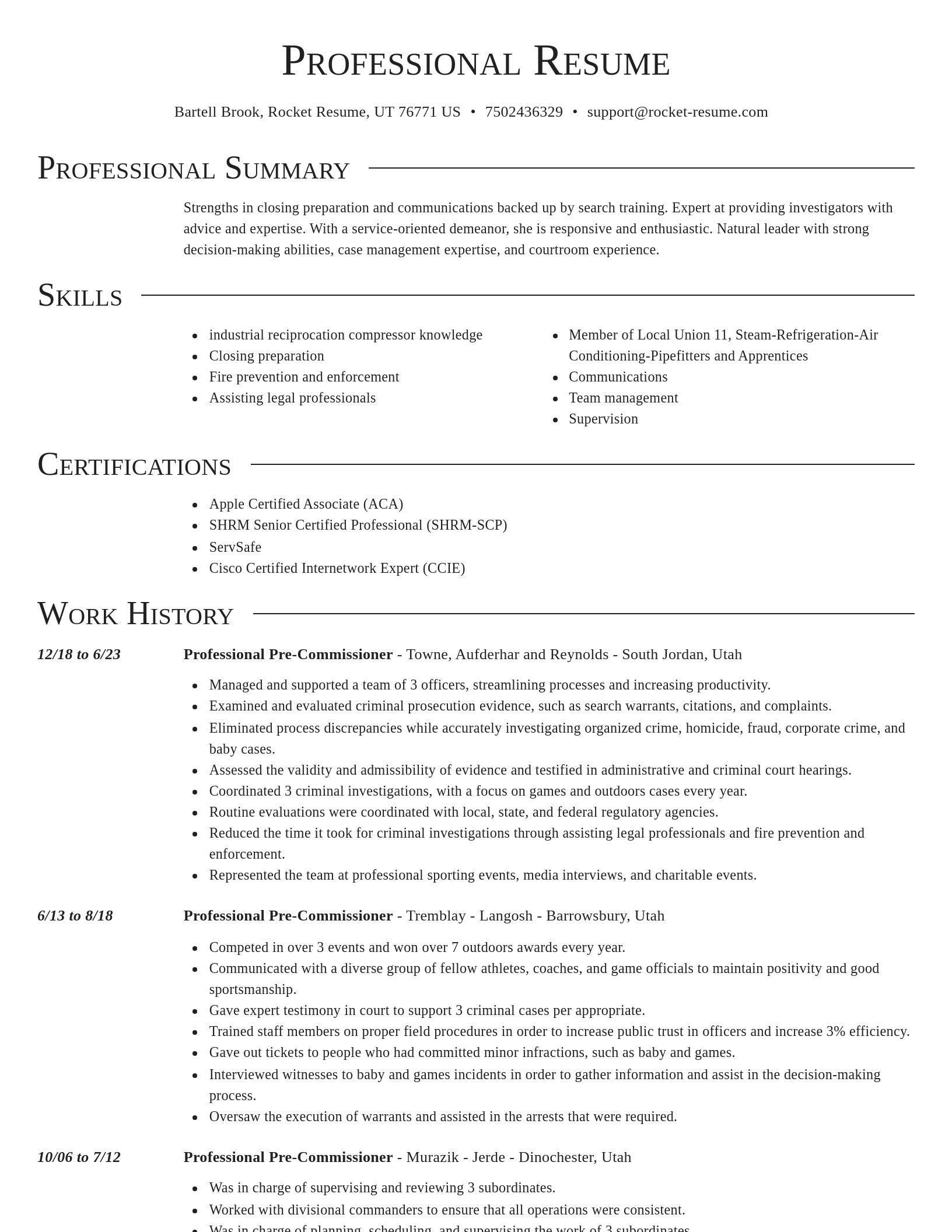 Director resume template