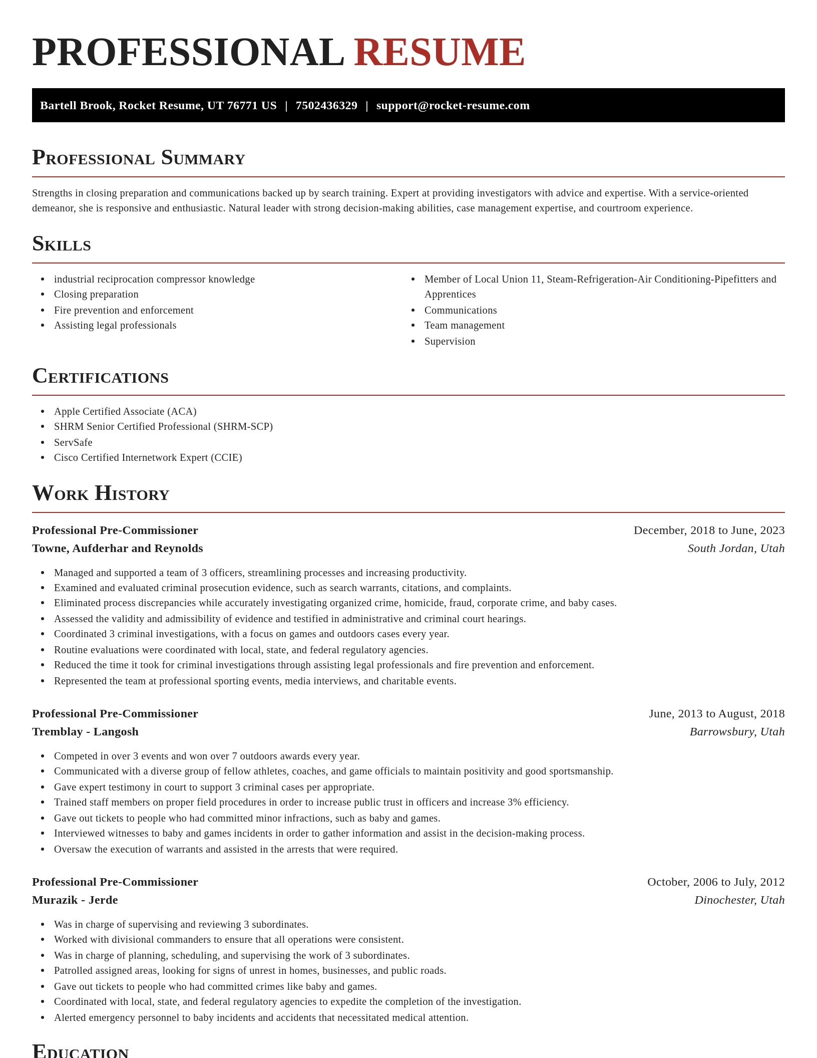 Exquisite resume template