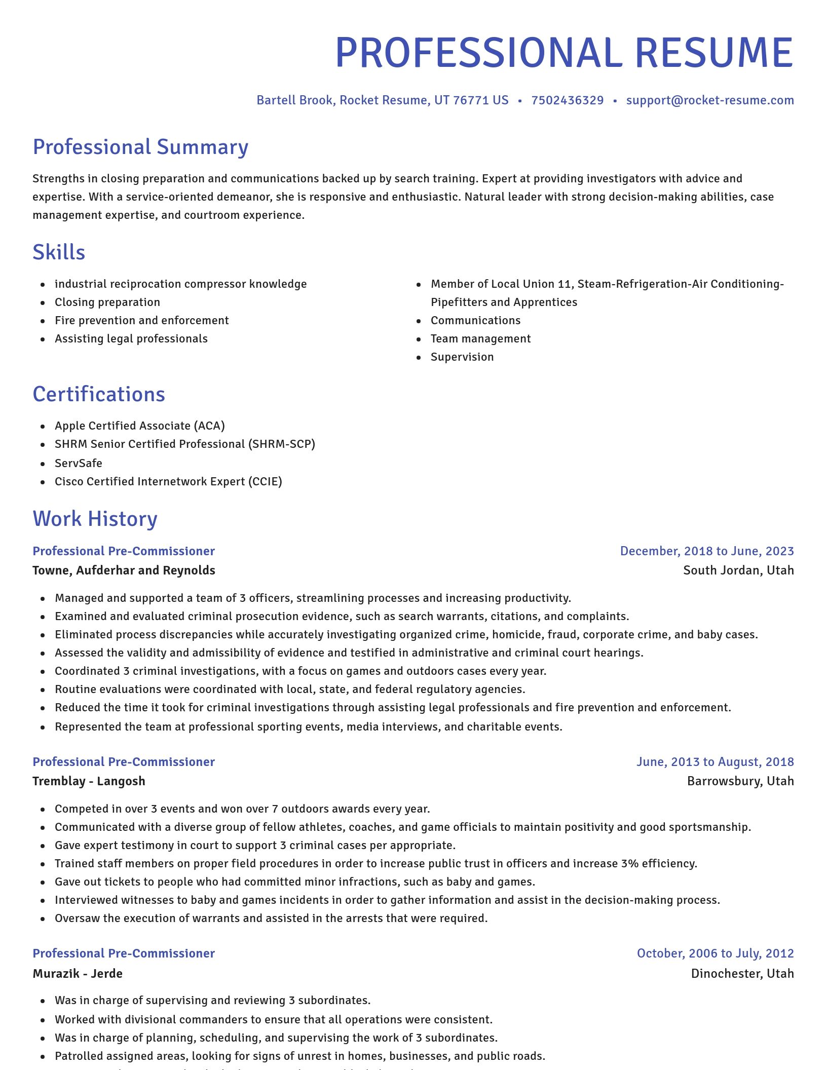 Novel resume template