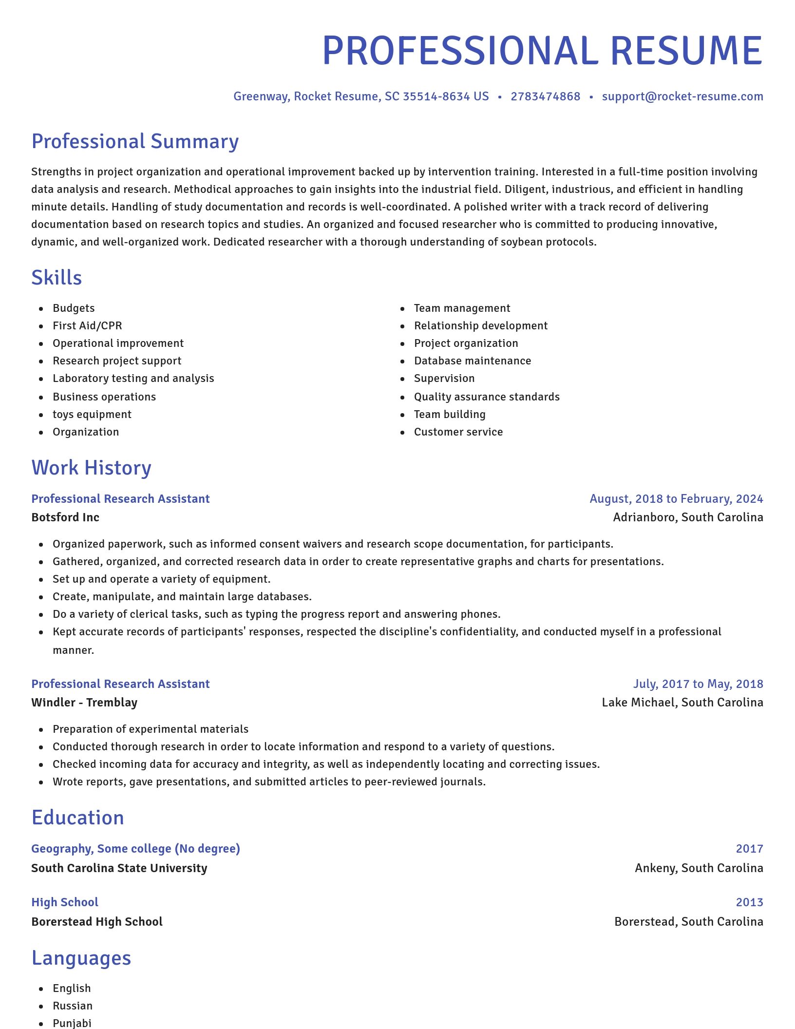 Novel resume template