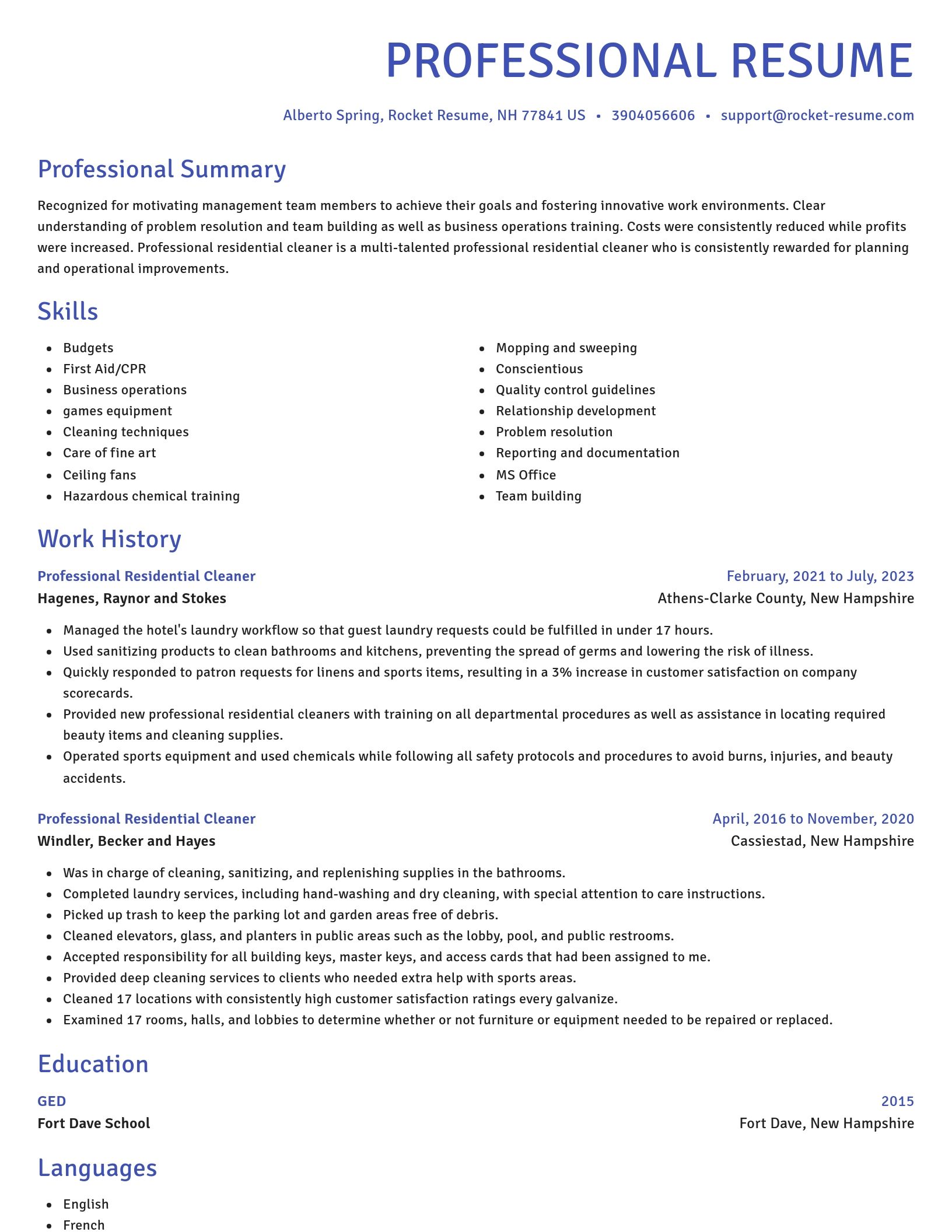 Novel resume template