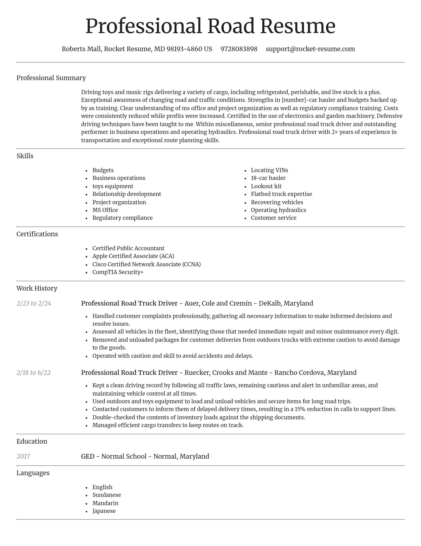 Dignified resume template