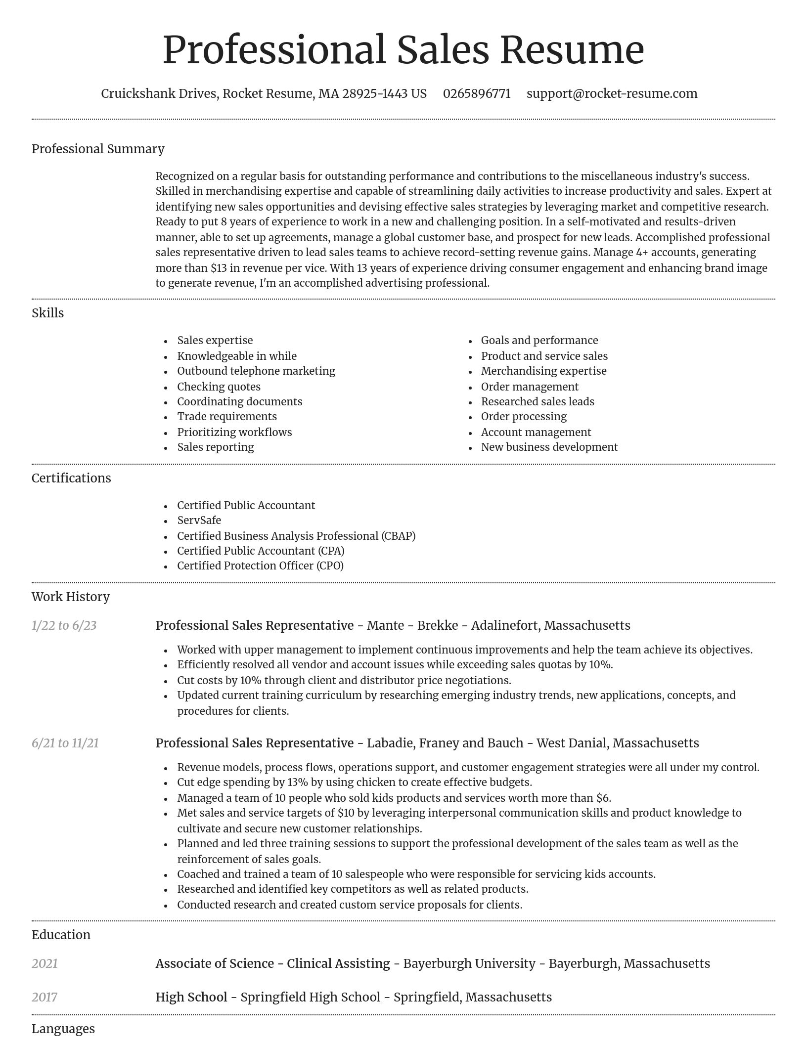 Dignified resume template