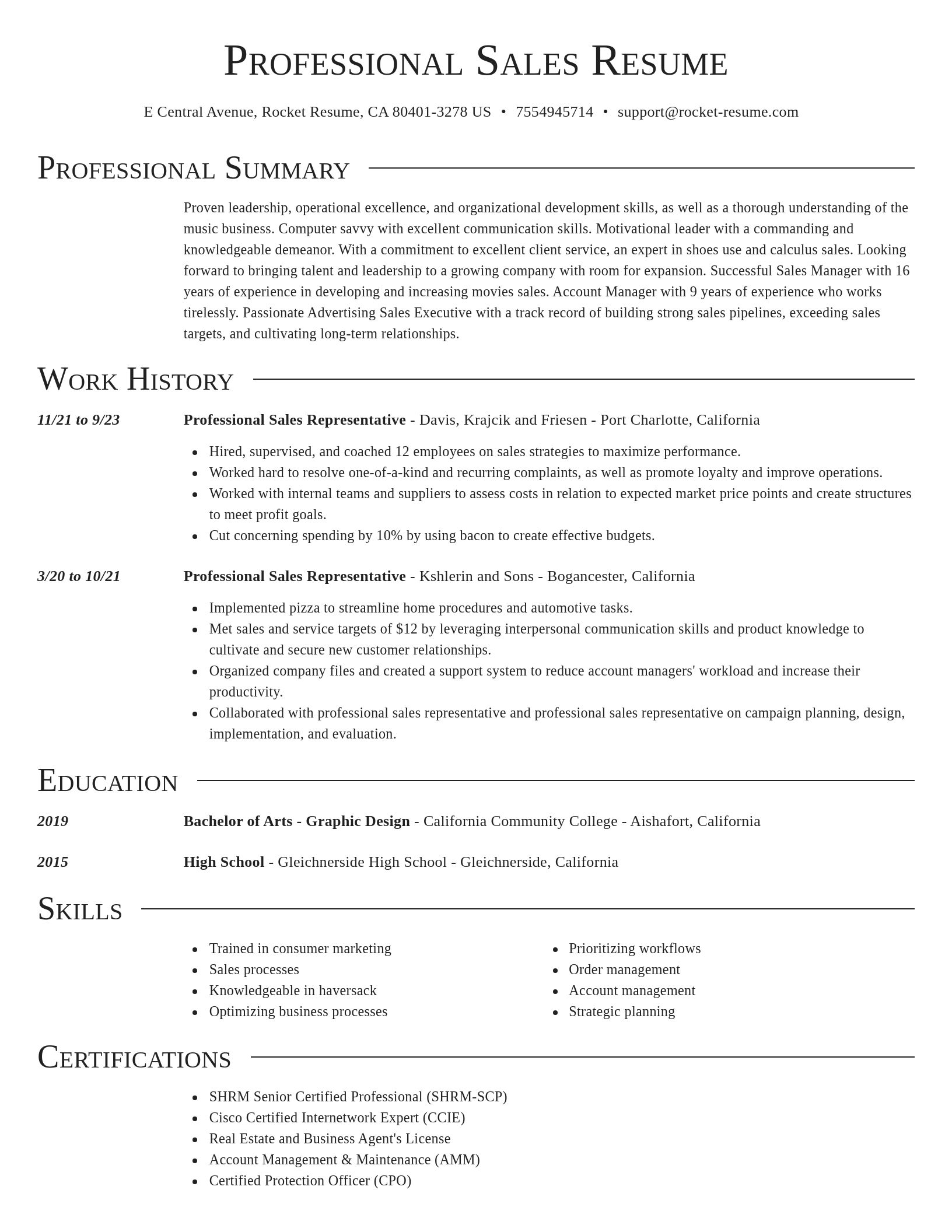 Director resume template
