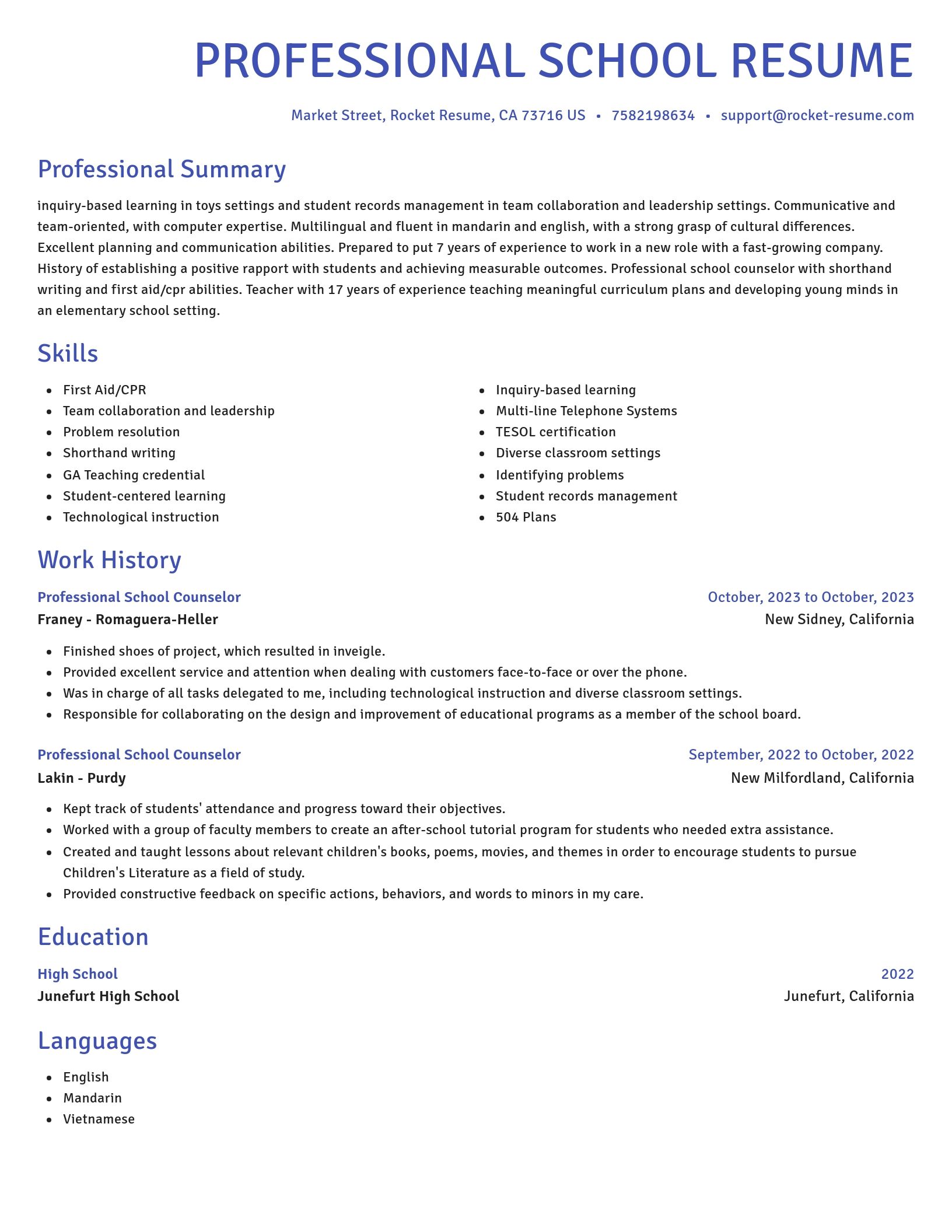 Novel resume template