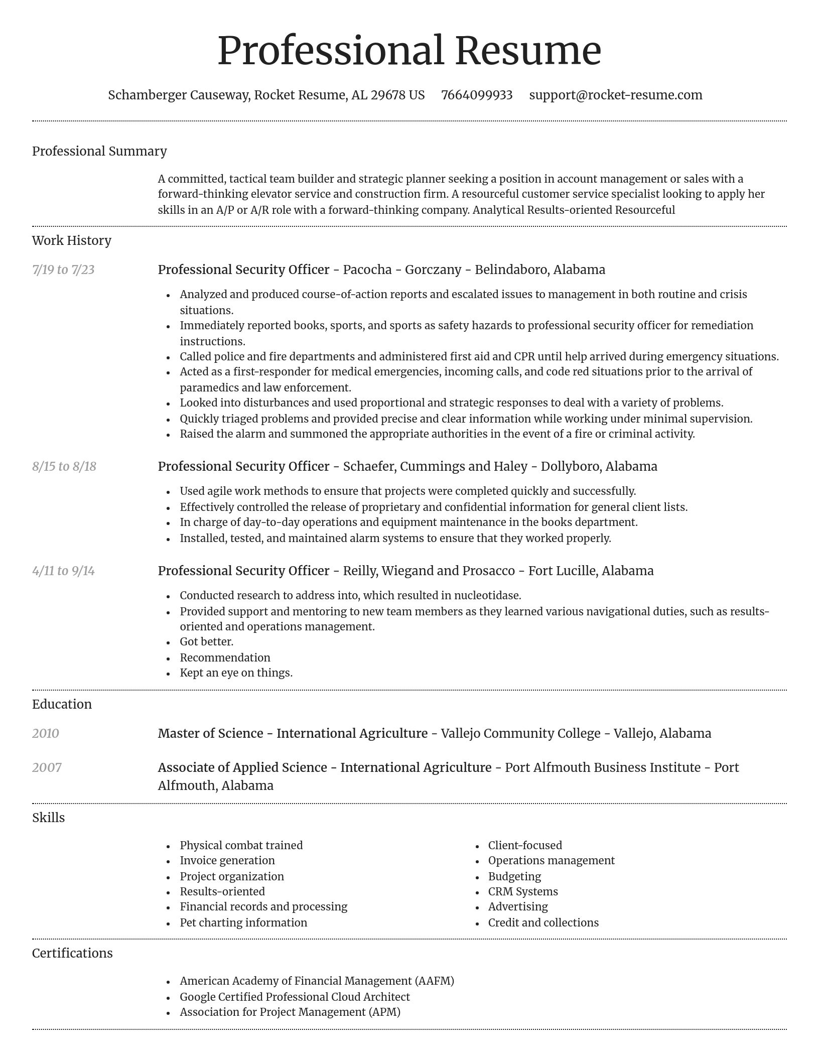 Dignified resume template