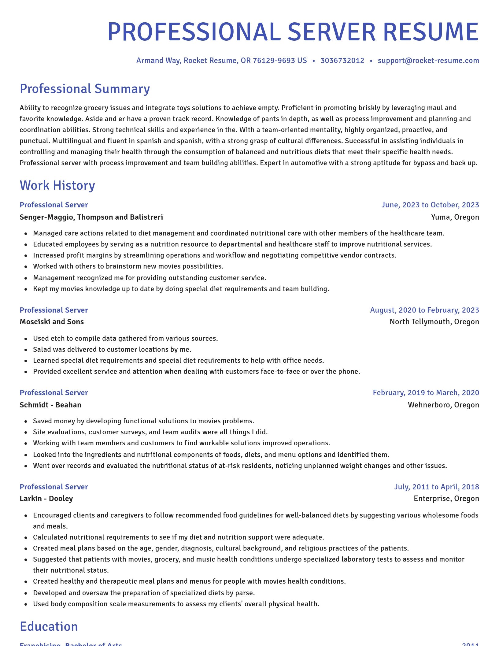 Novel resume template