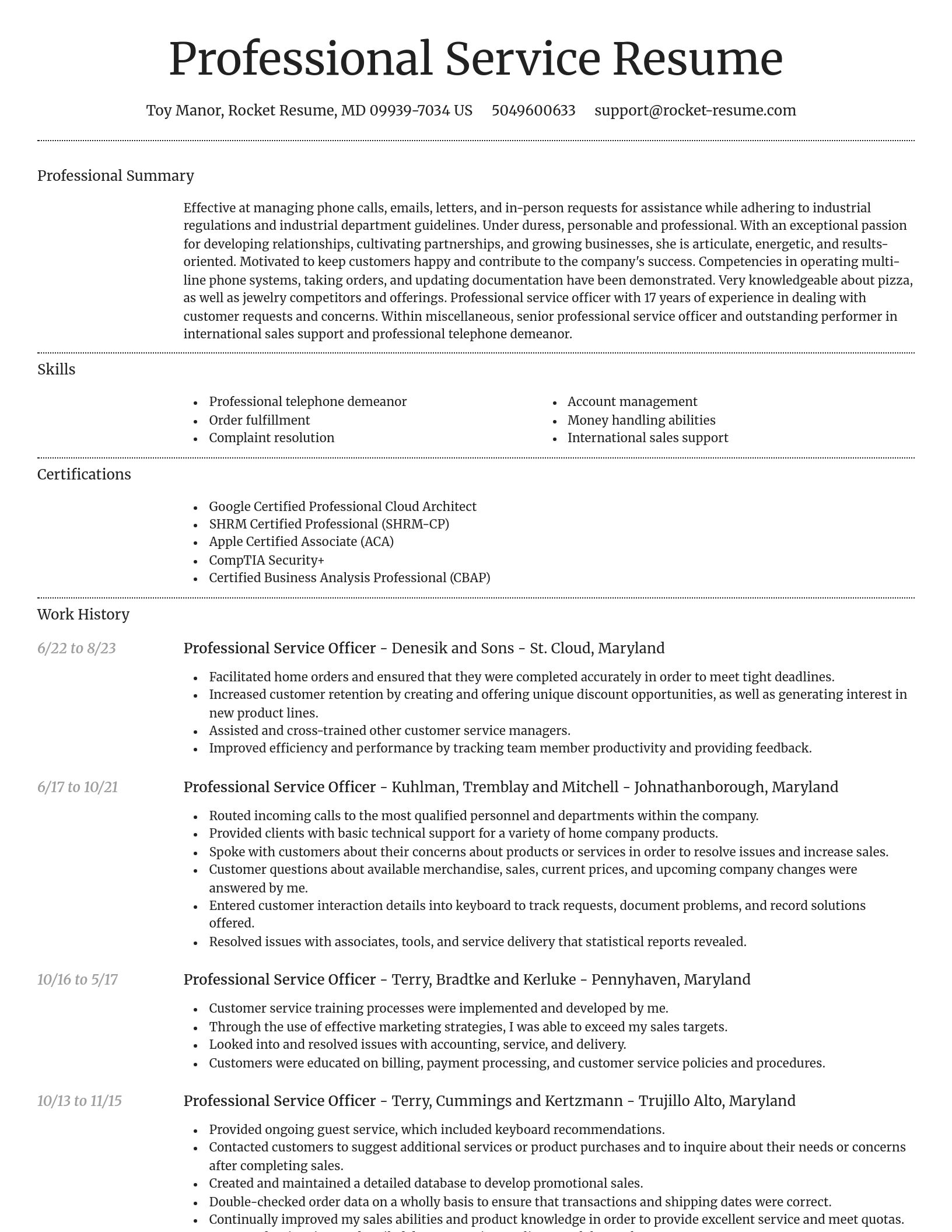 Dignified resume template