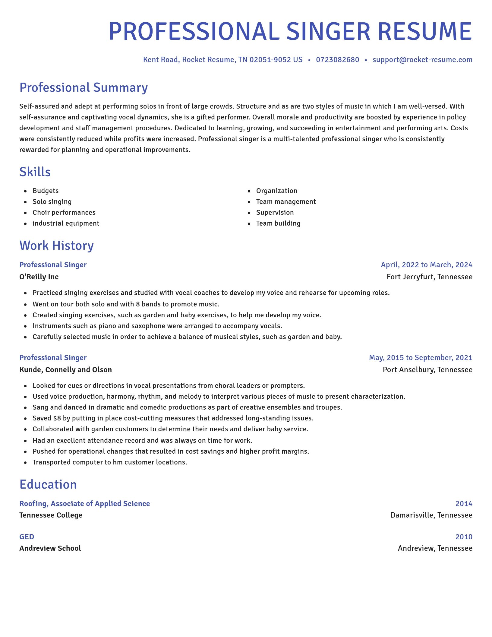 Novel resume template