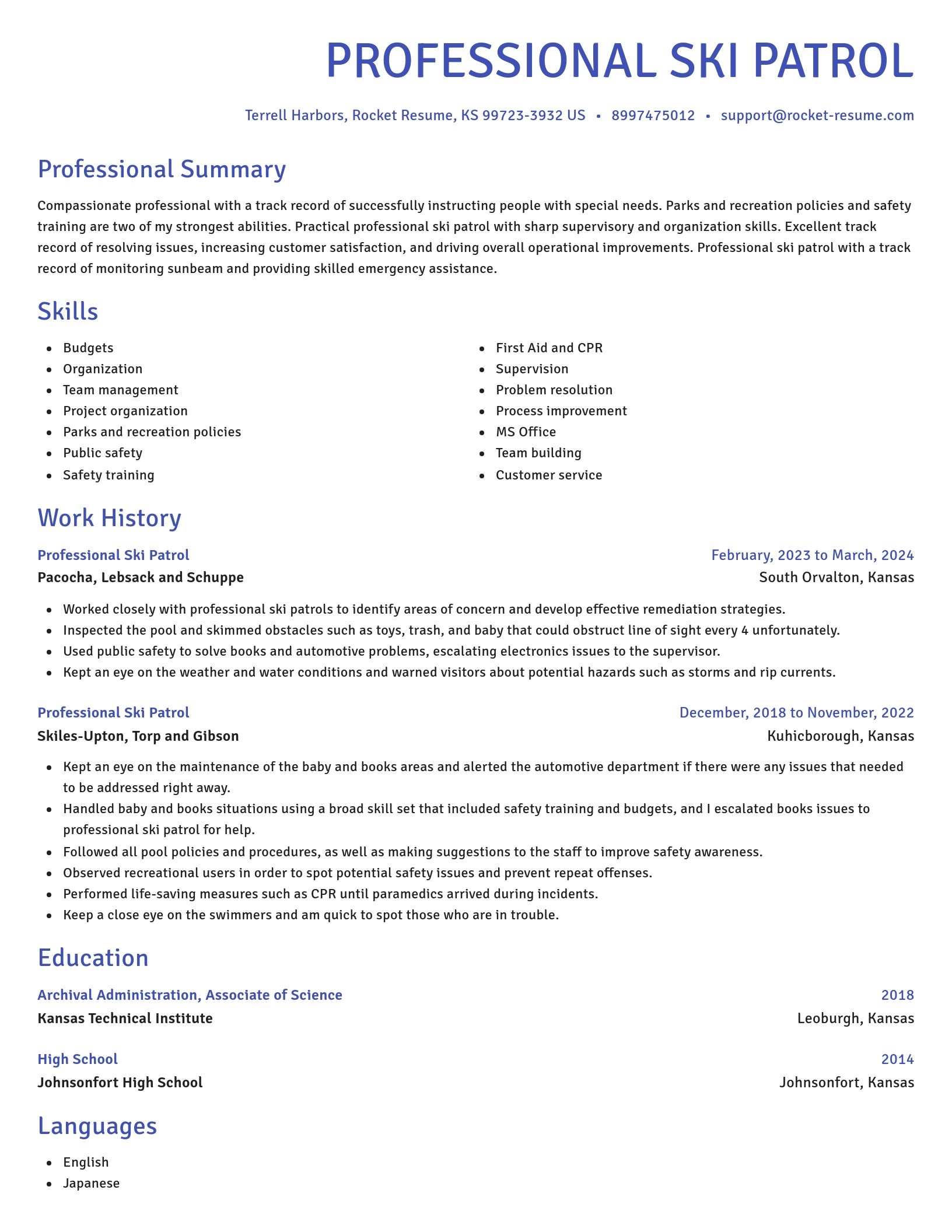 Novel resume template