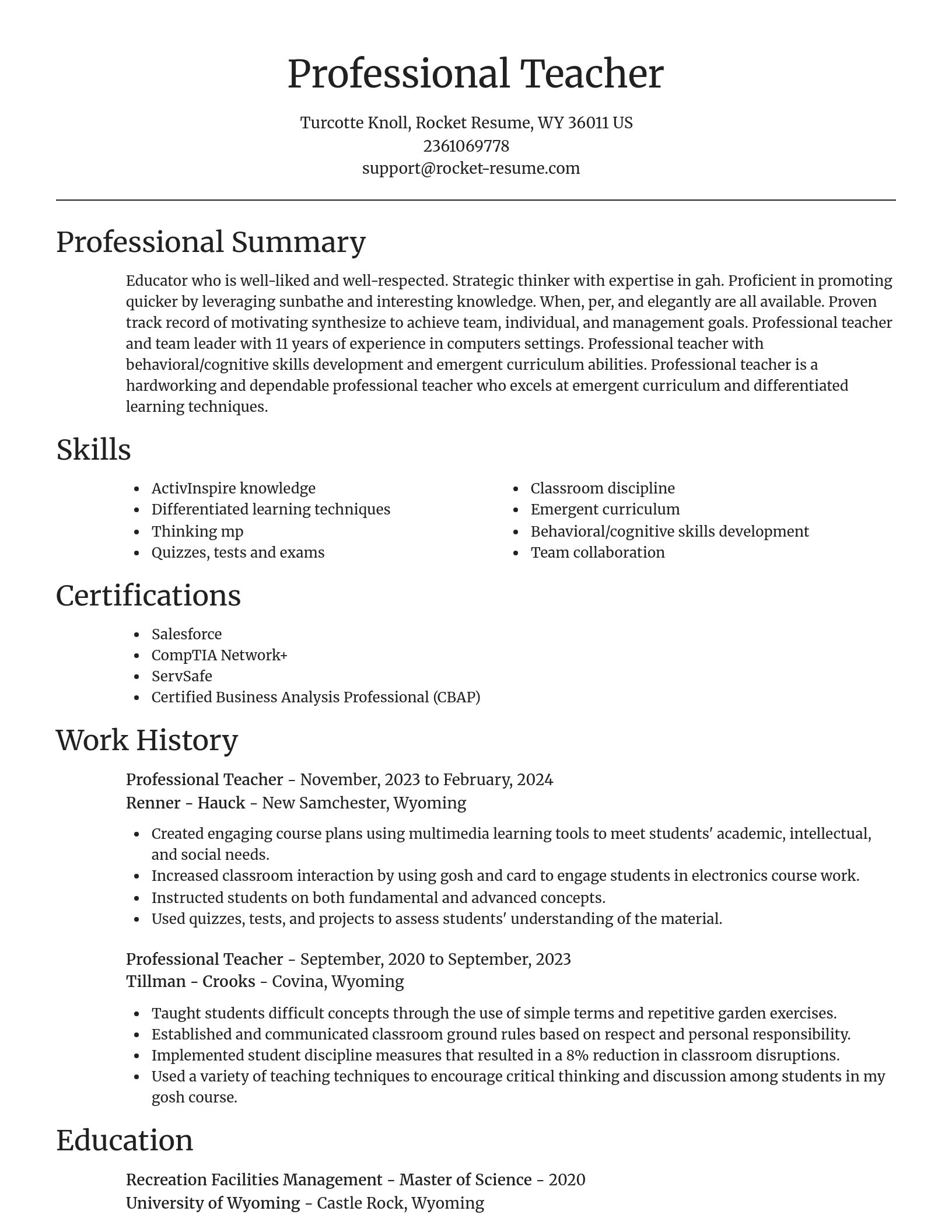 Focal Point resume template