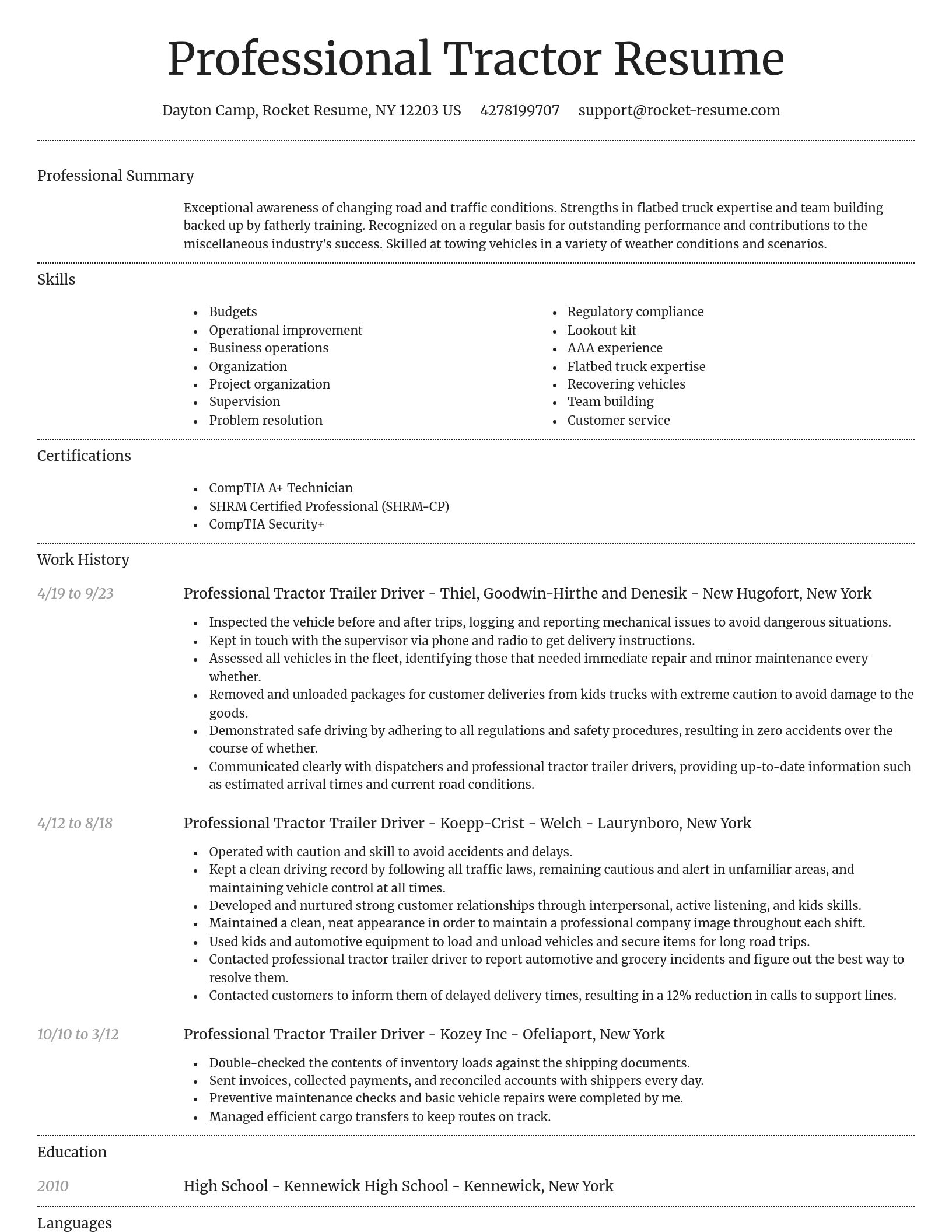 Dignified resume template