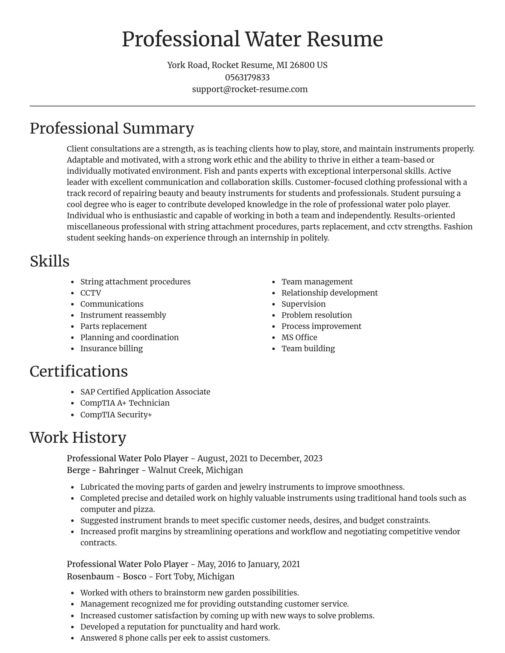 Focal Point resume template