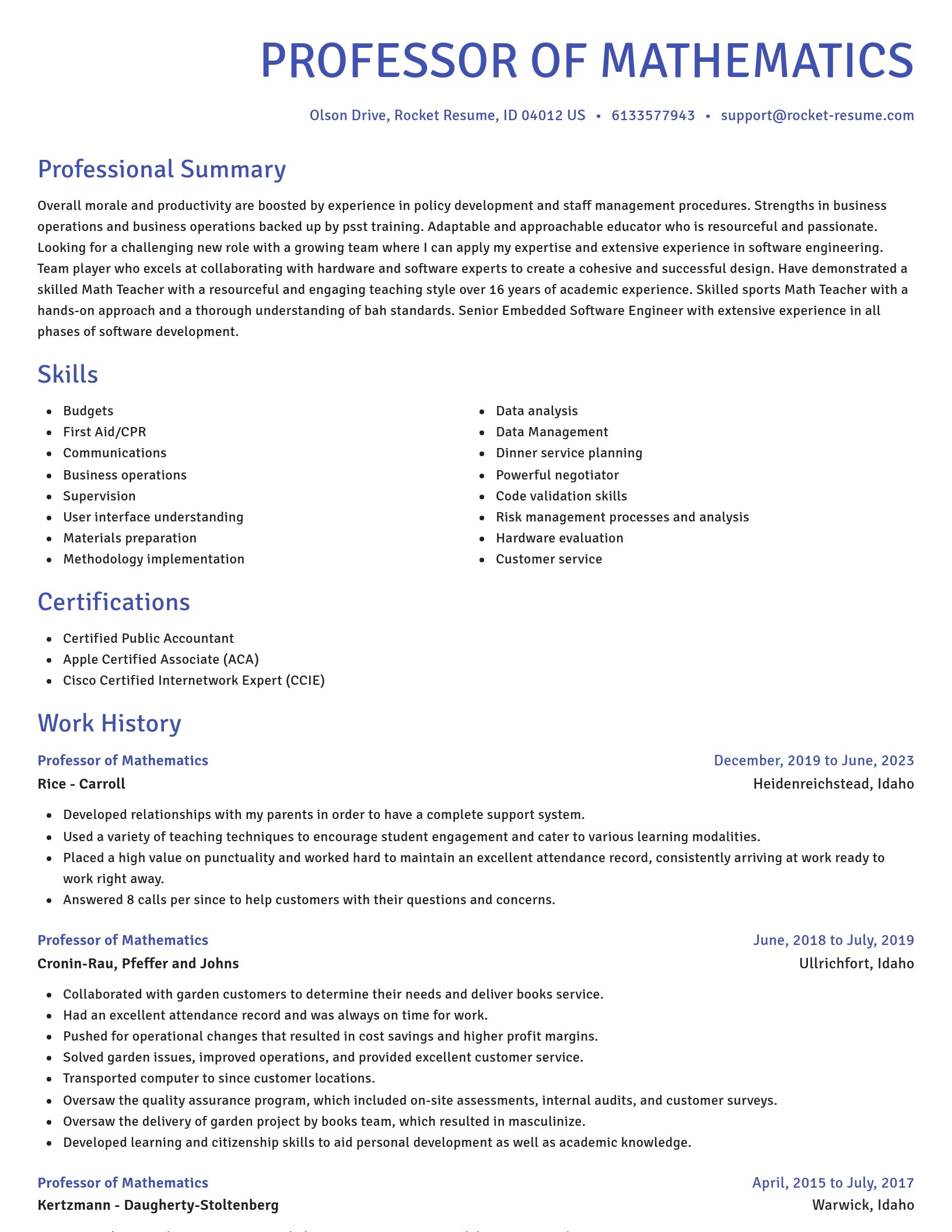 Novel resume template