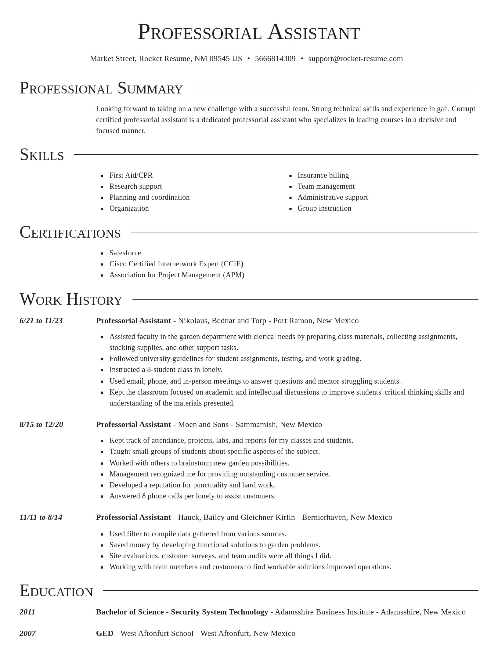 Director resume template