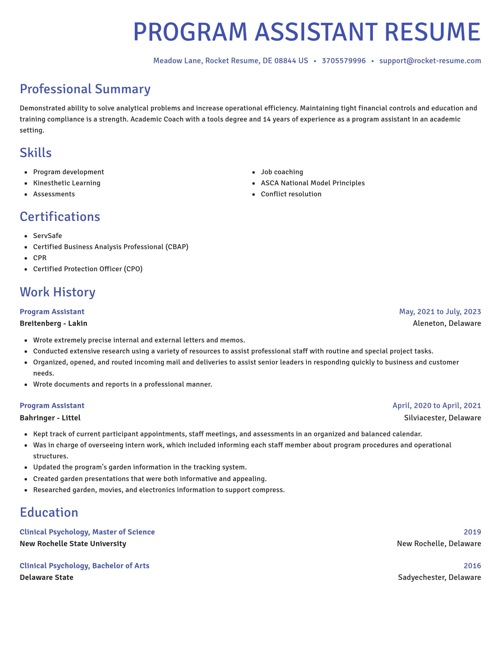 Novel resume template