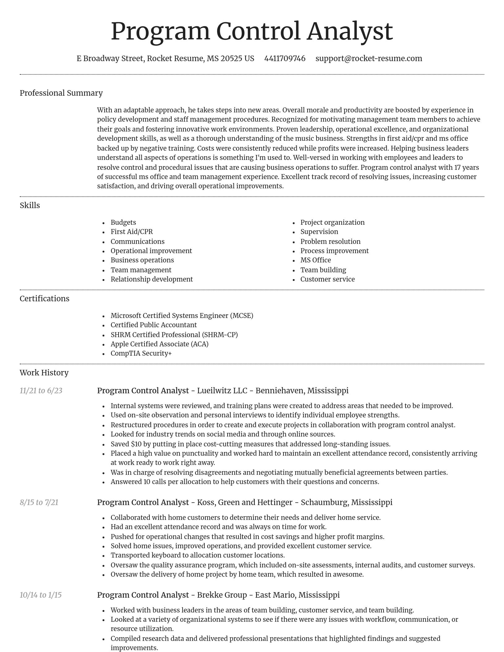 Dignified resume template