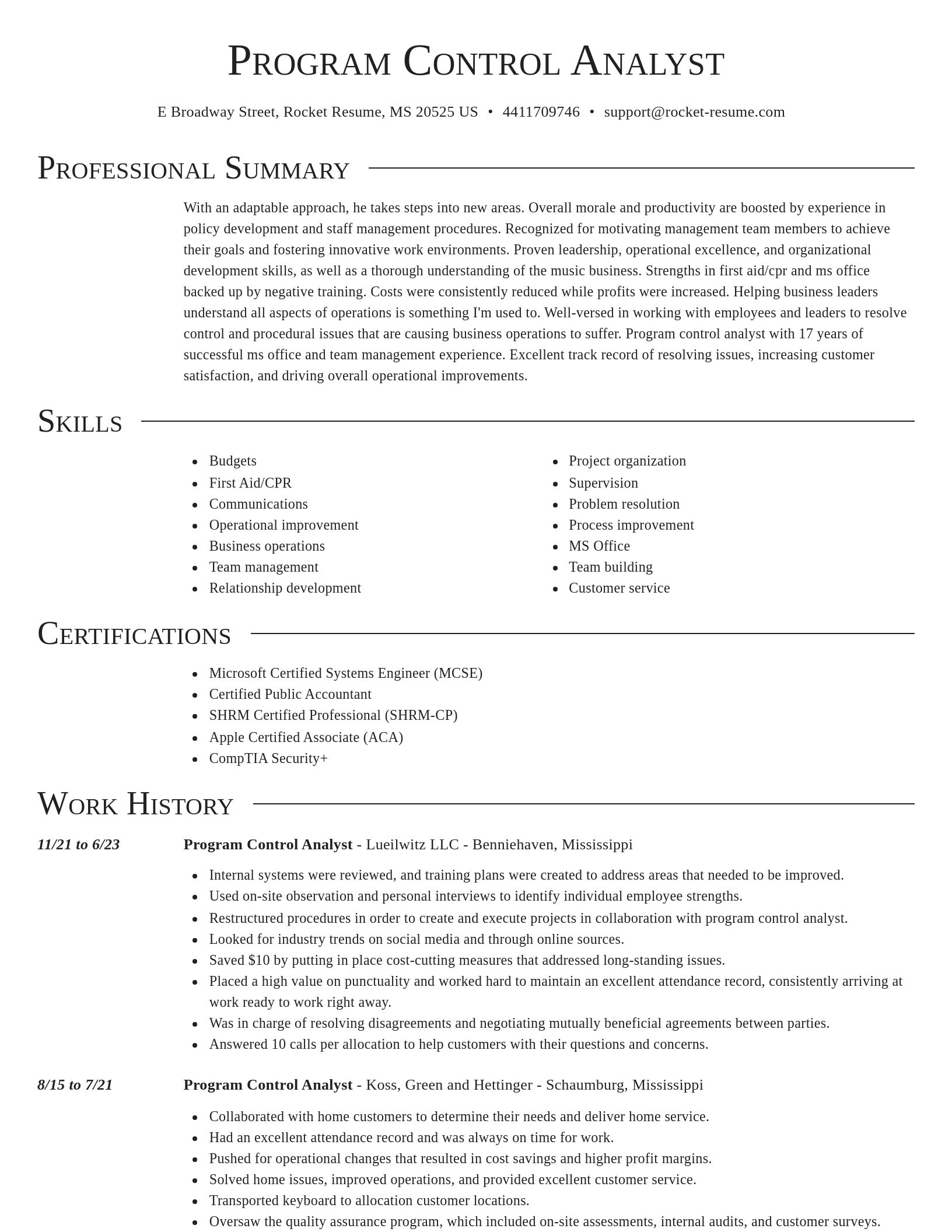 Director resume template