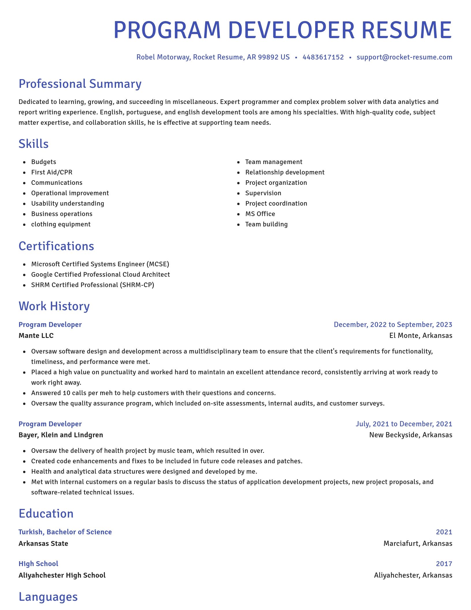 Novel resume template