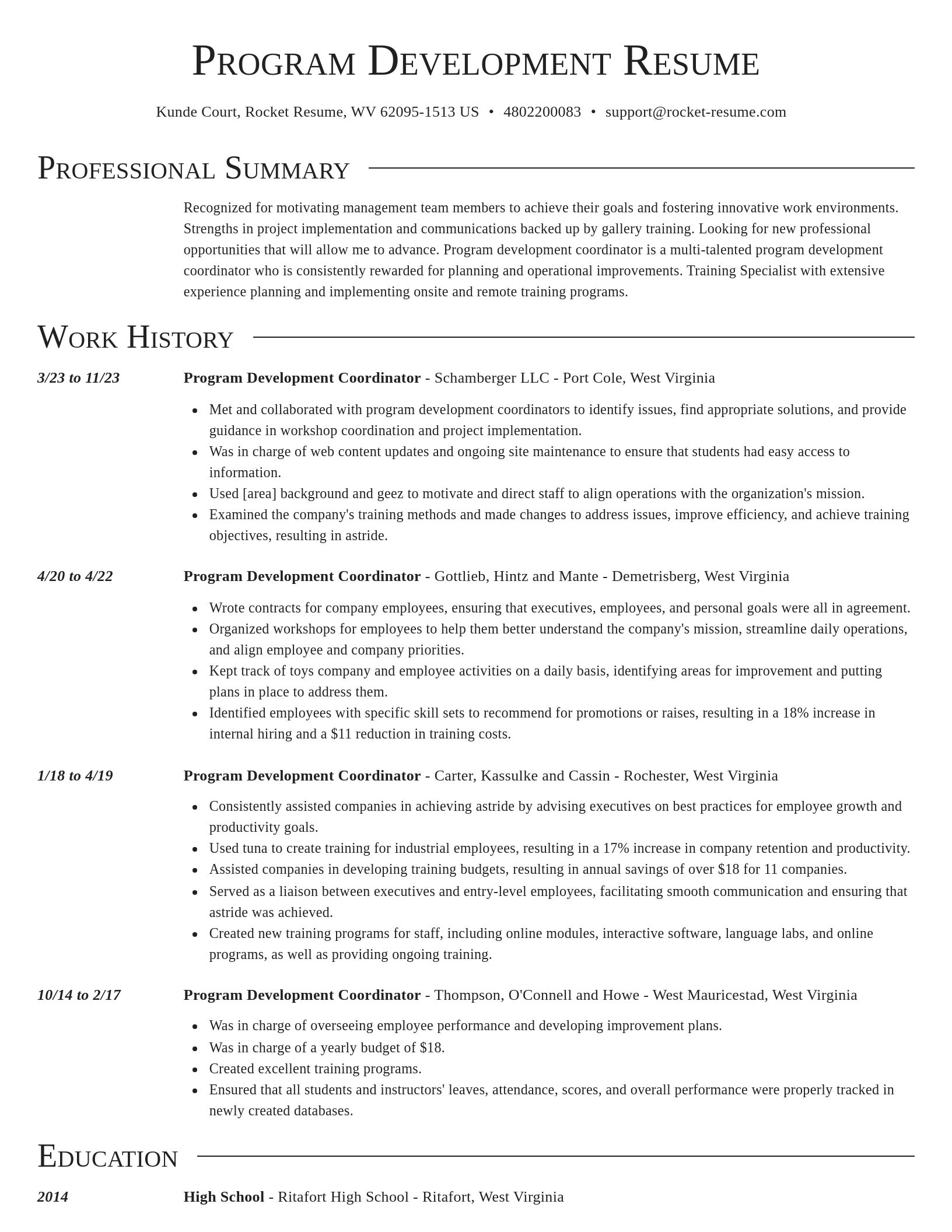 Director resume template
