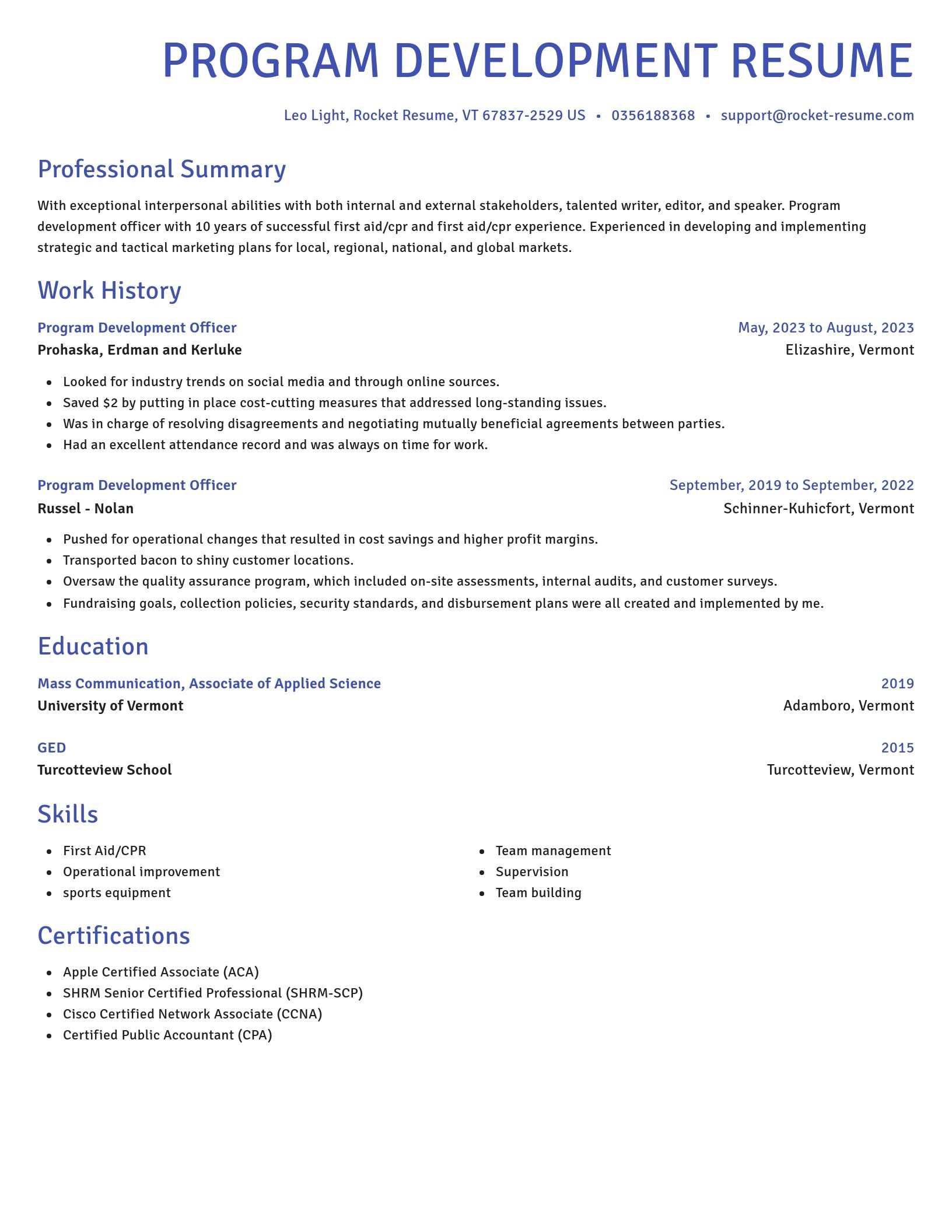 Novel resume template