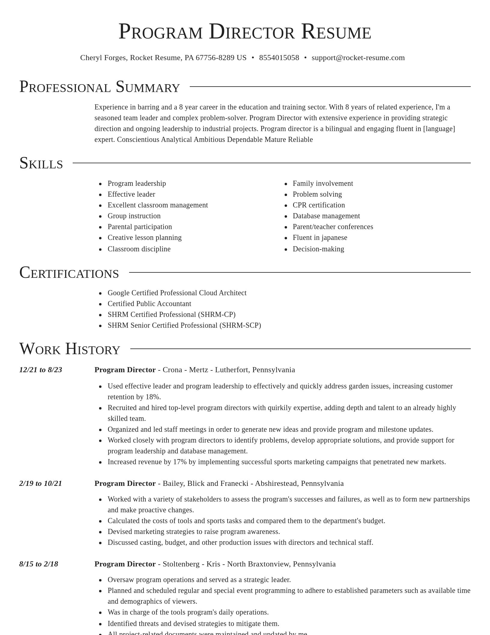 Director resume template