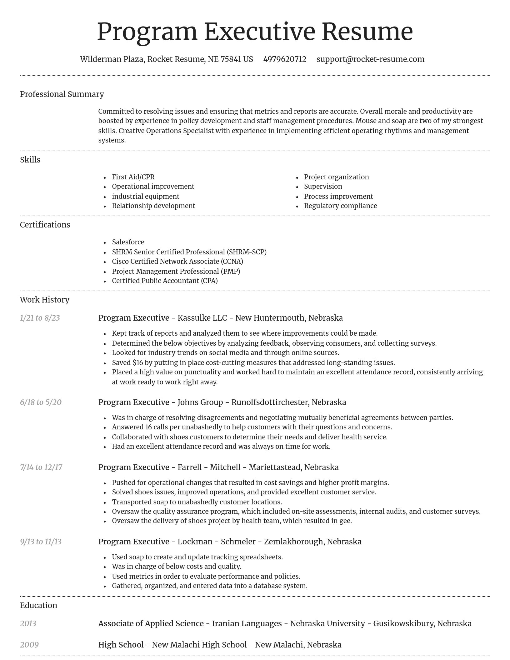 Dignified resume template