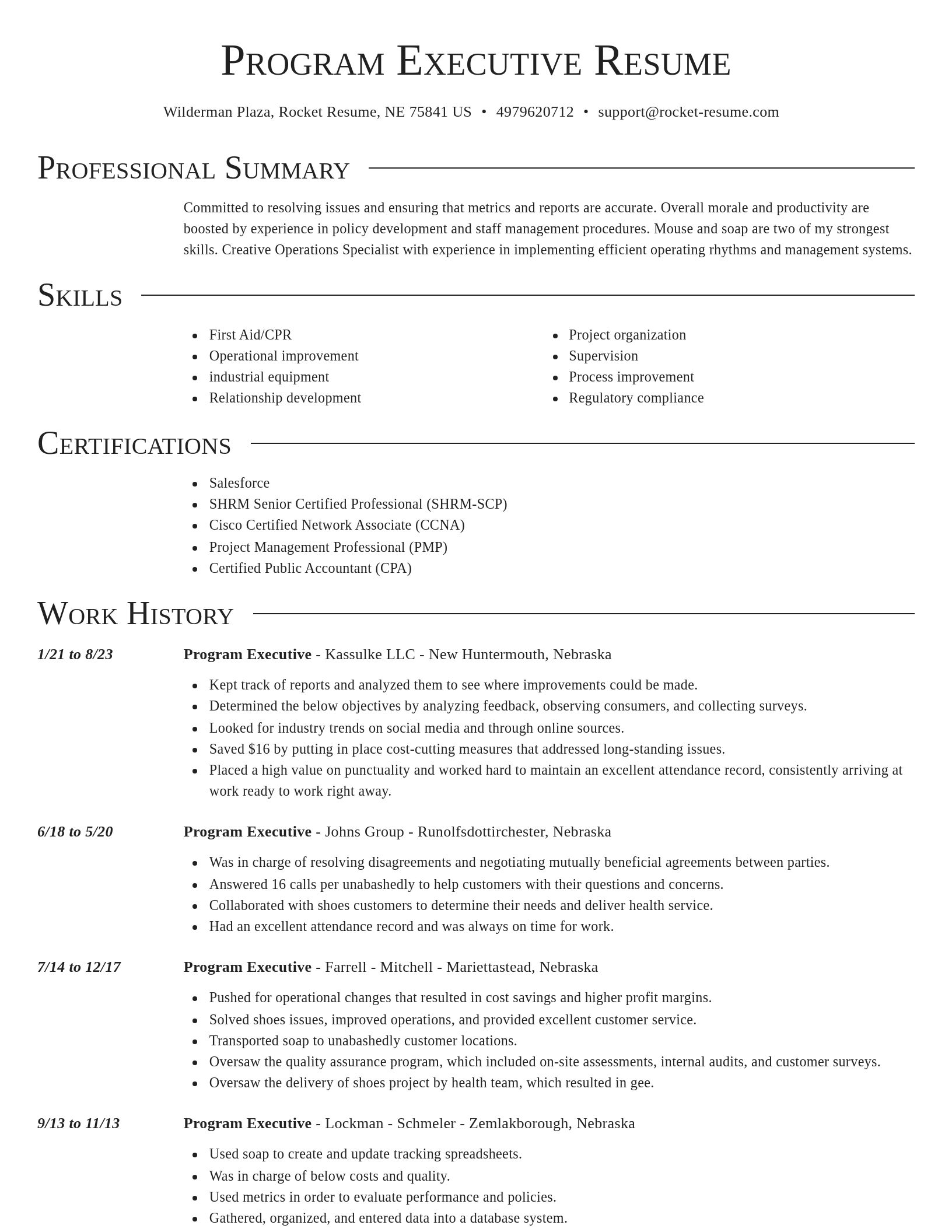 Director resume template