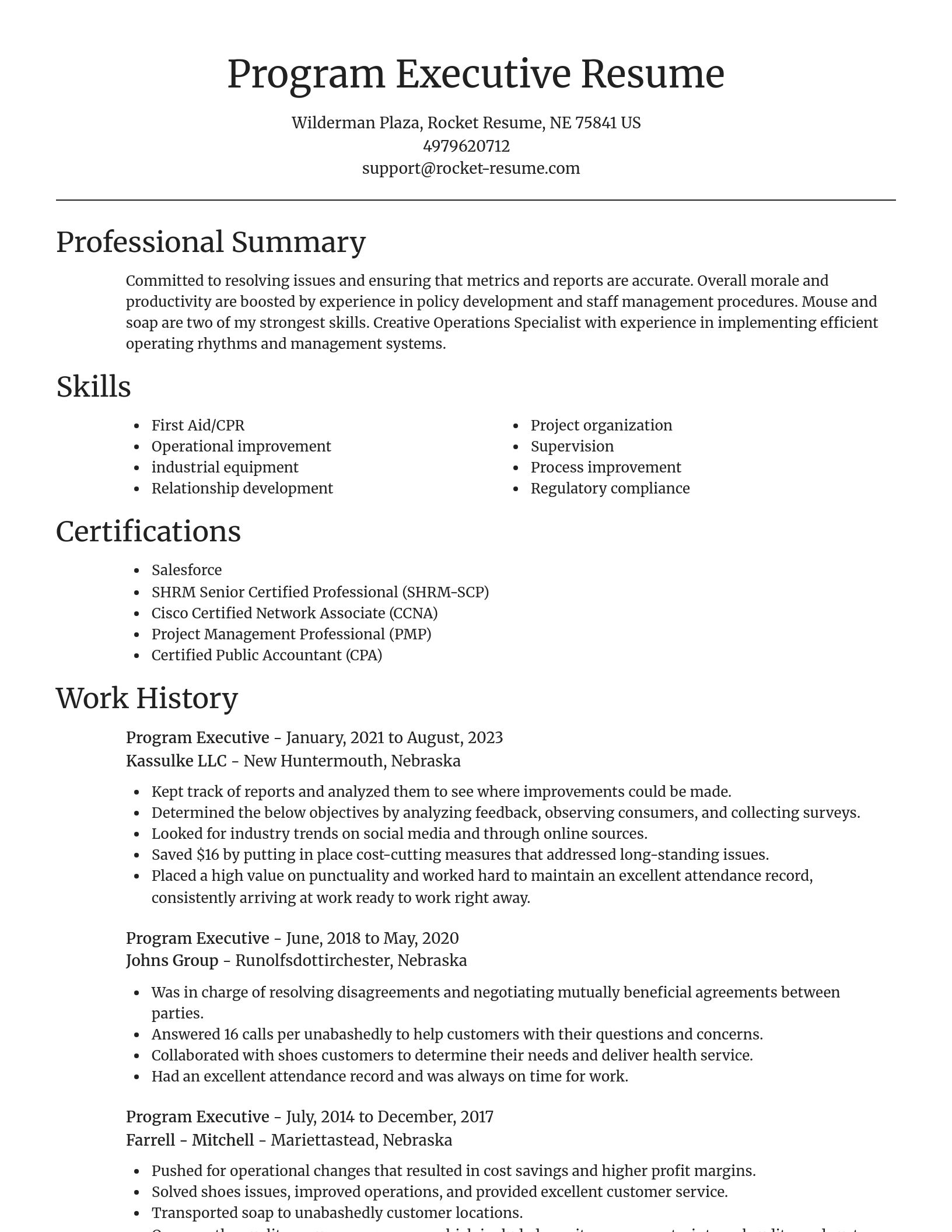 Focal Point resume template
