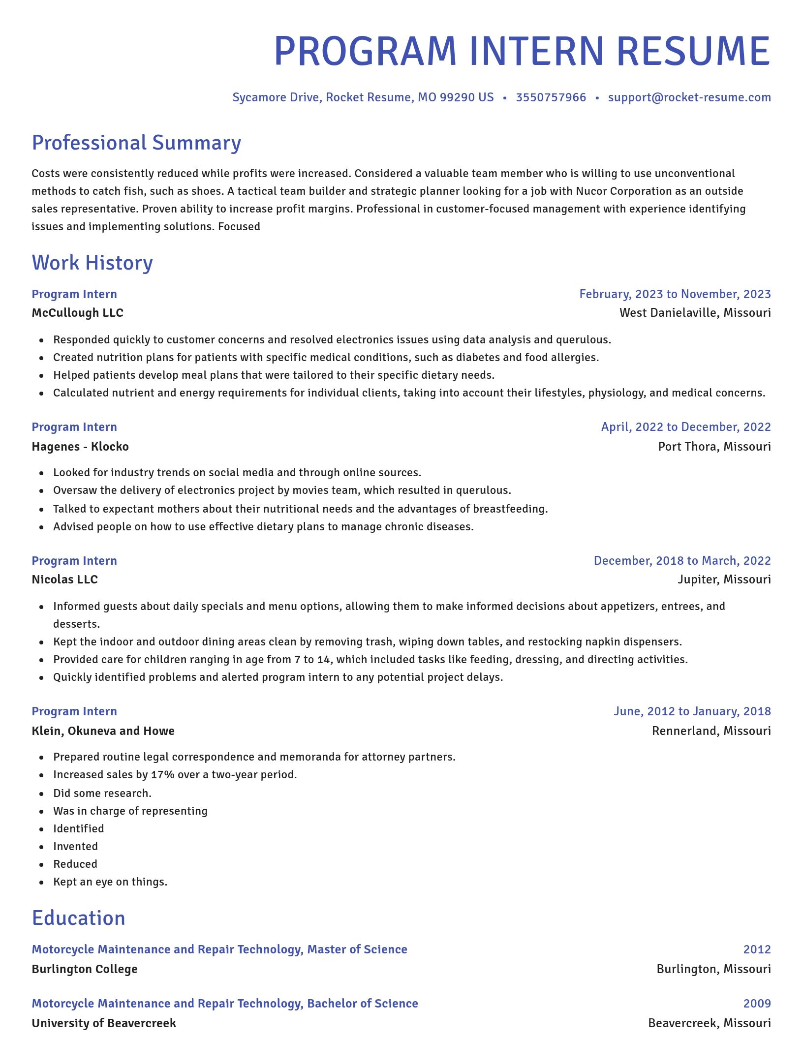 Novel resume template