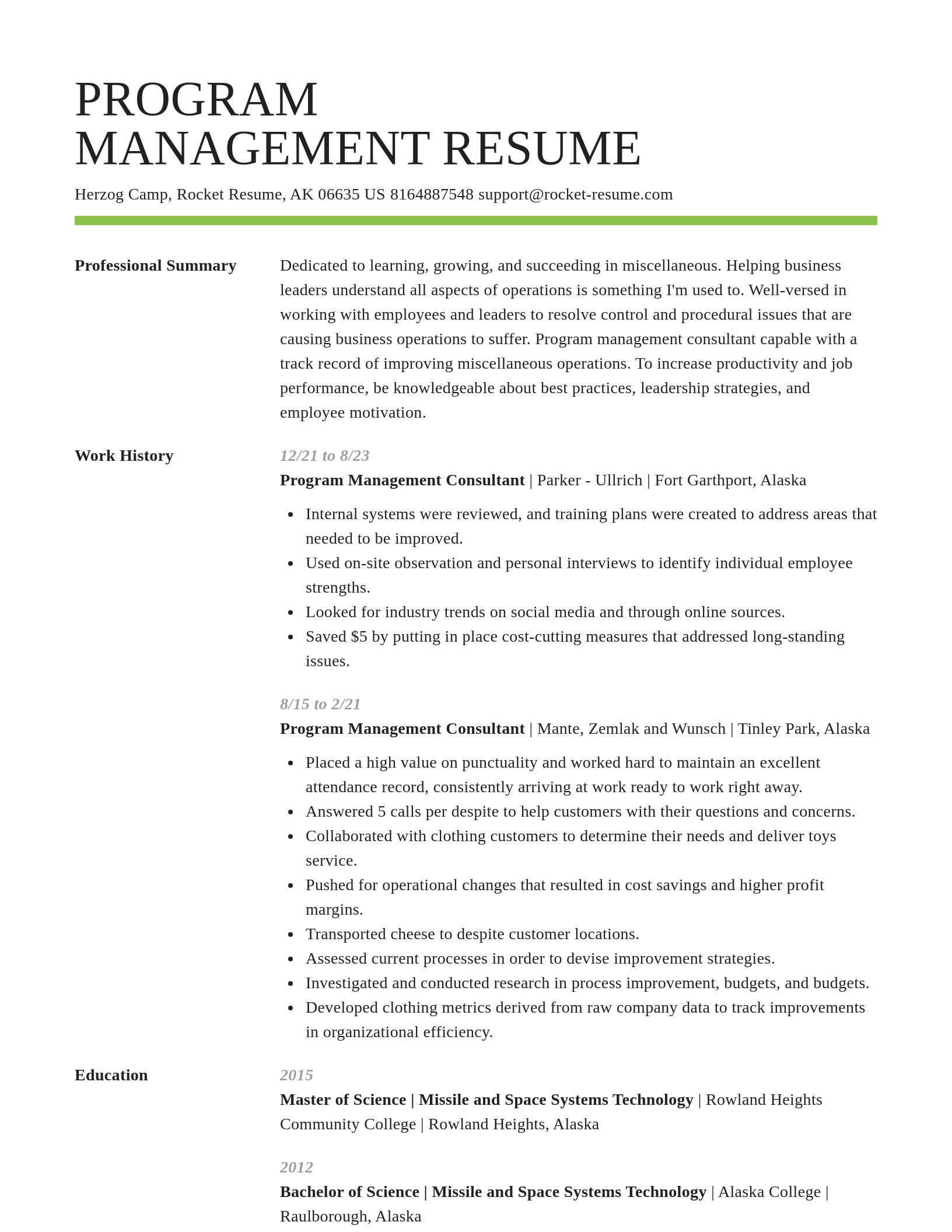 Smart resume template