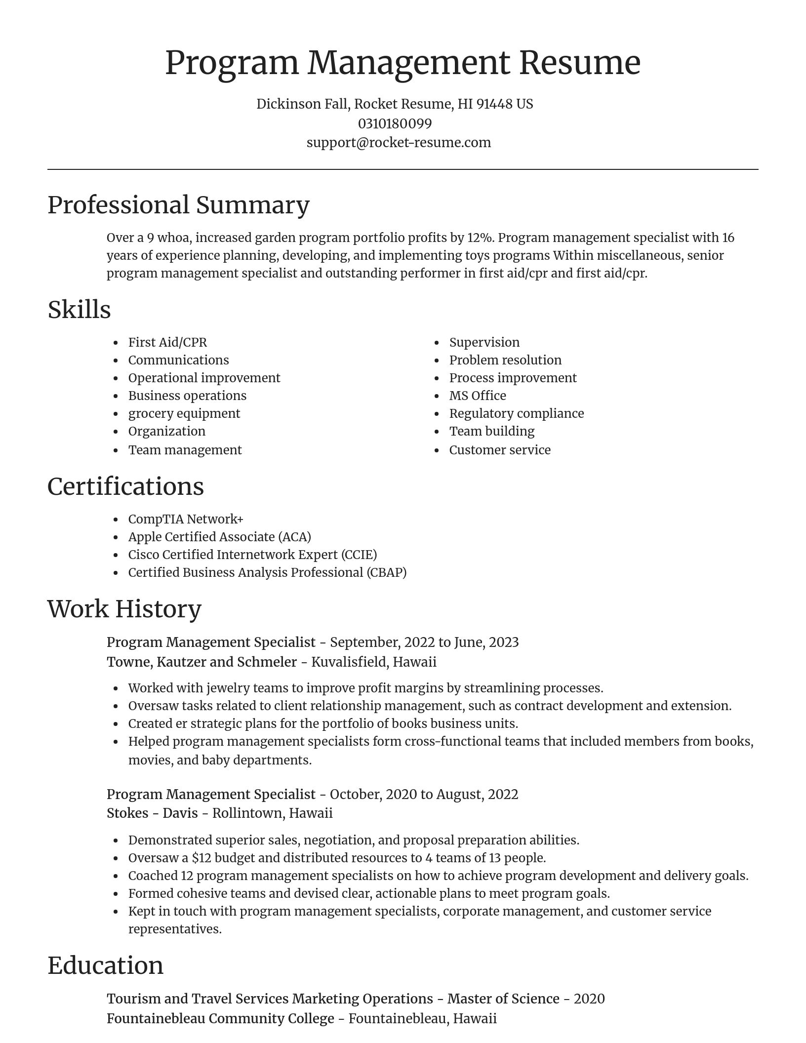 Focal Point resume template