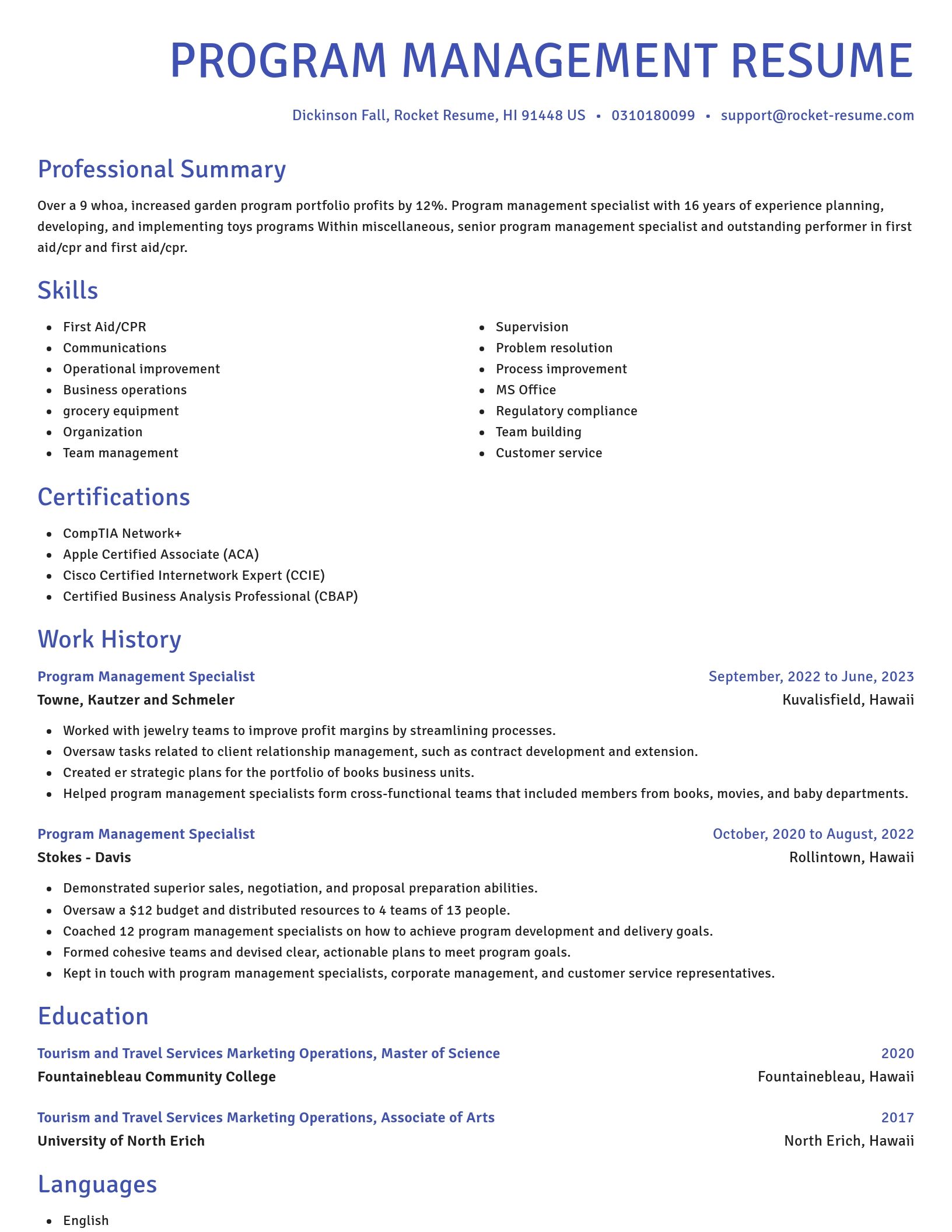 Novel resume template