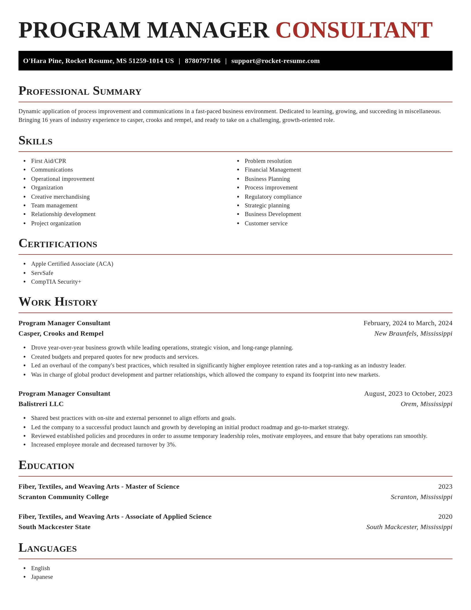Exquisite resume template