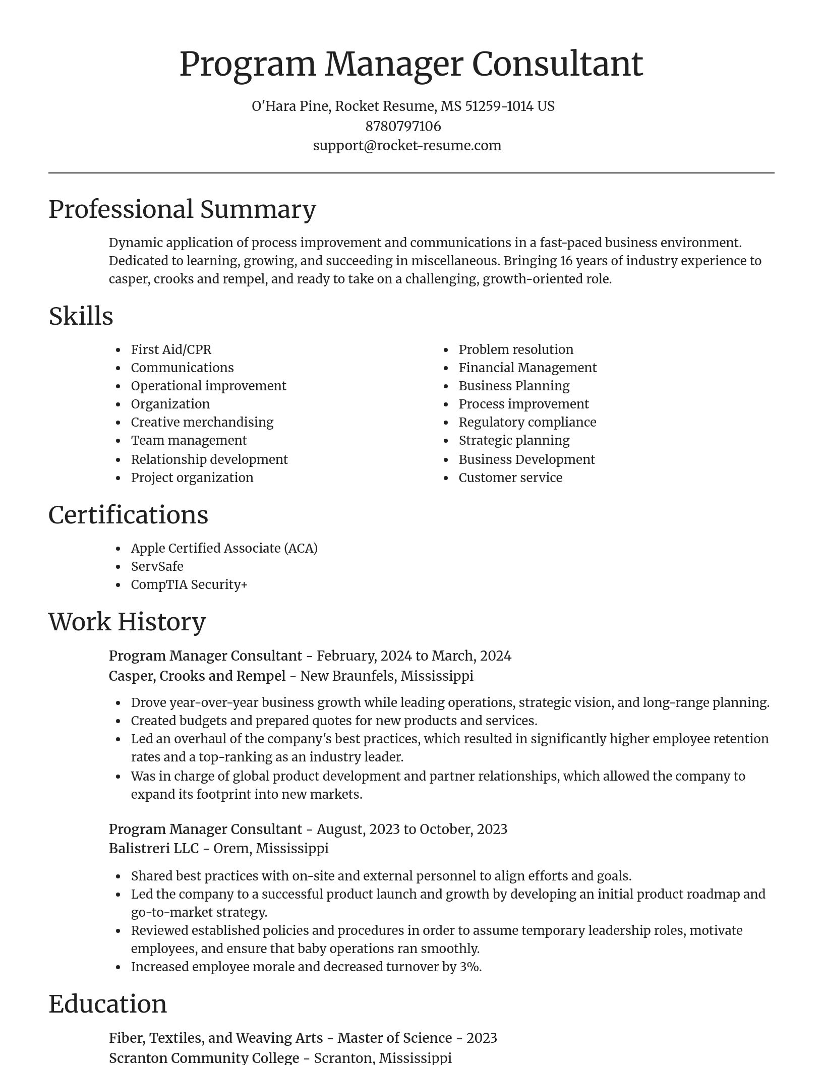 Focal Point resume template