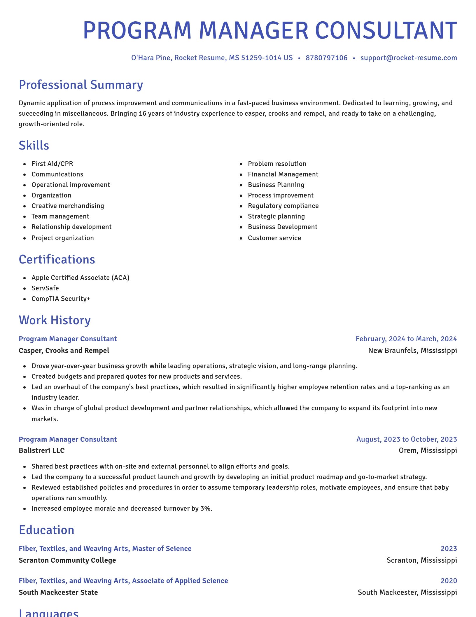Novel resume template
