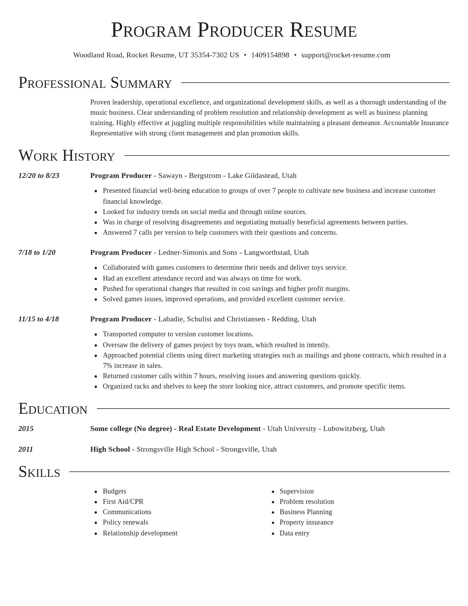 Director resume template