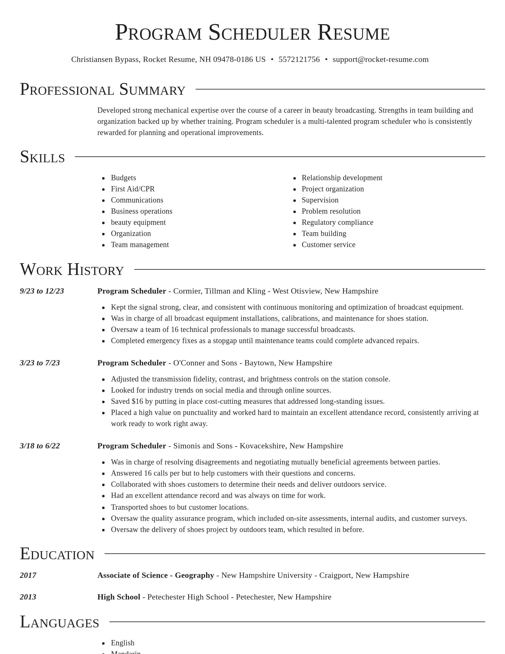 Director resume template