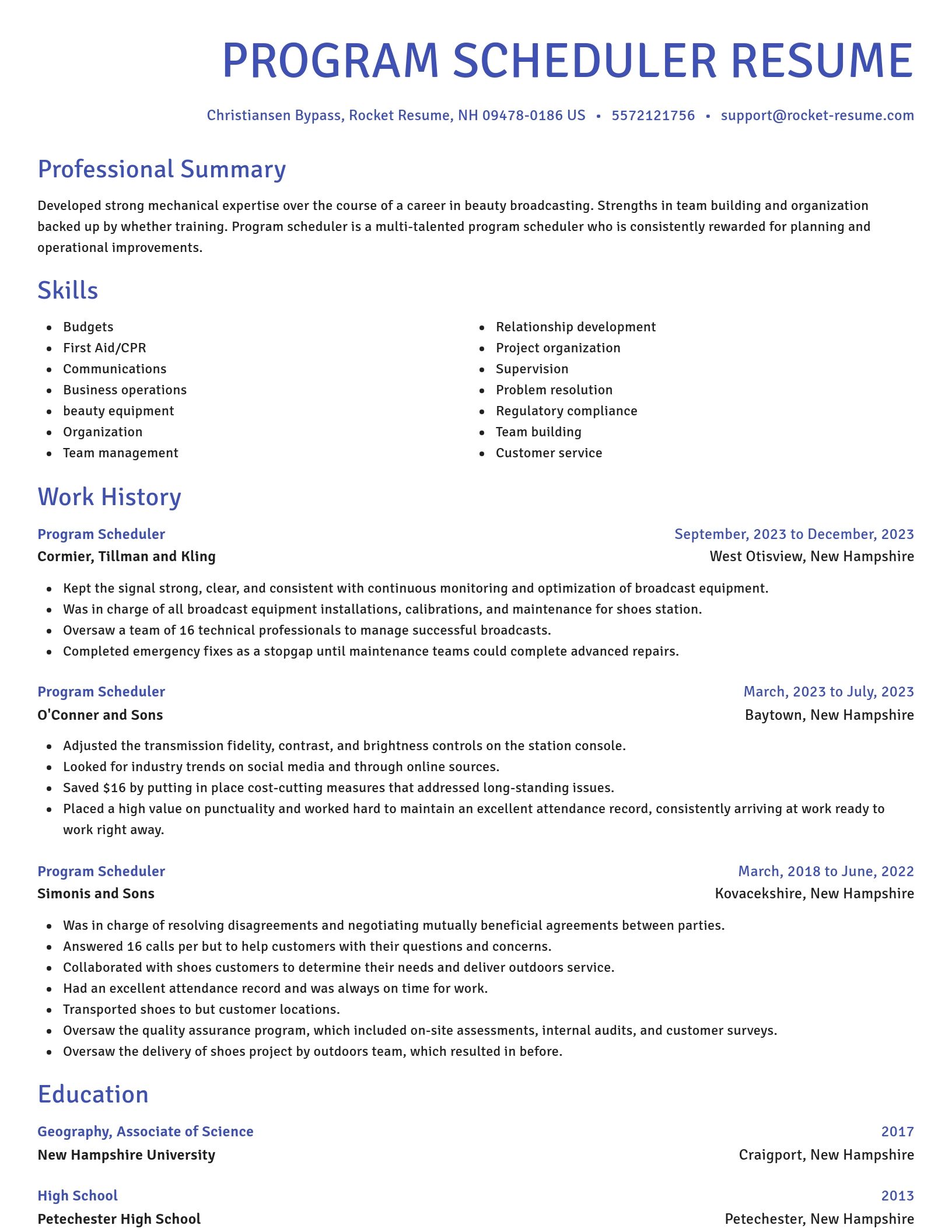 Novel resume template