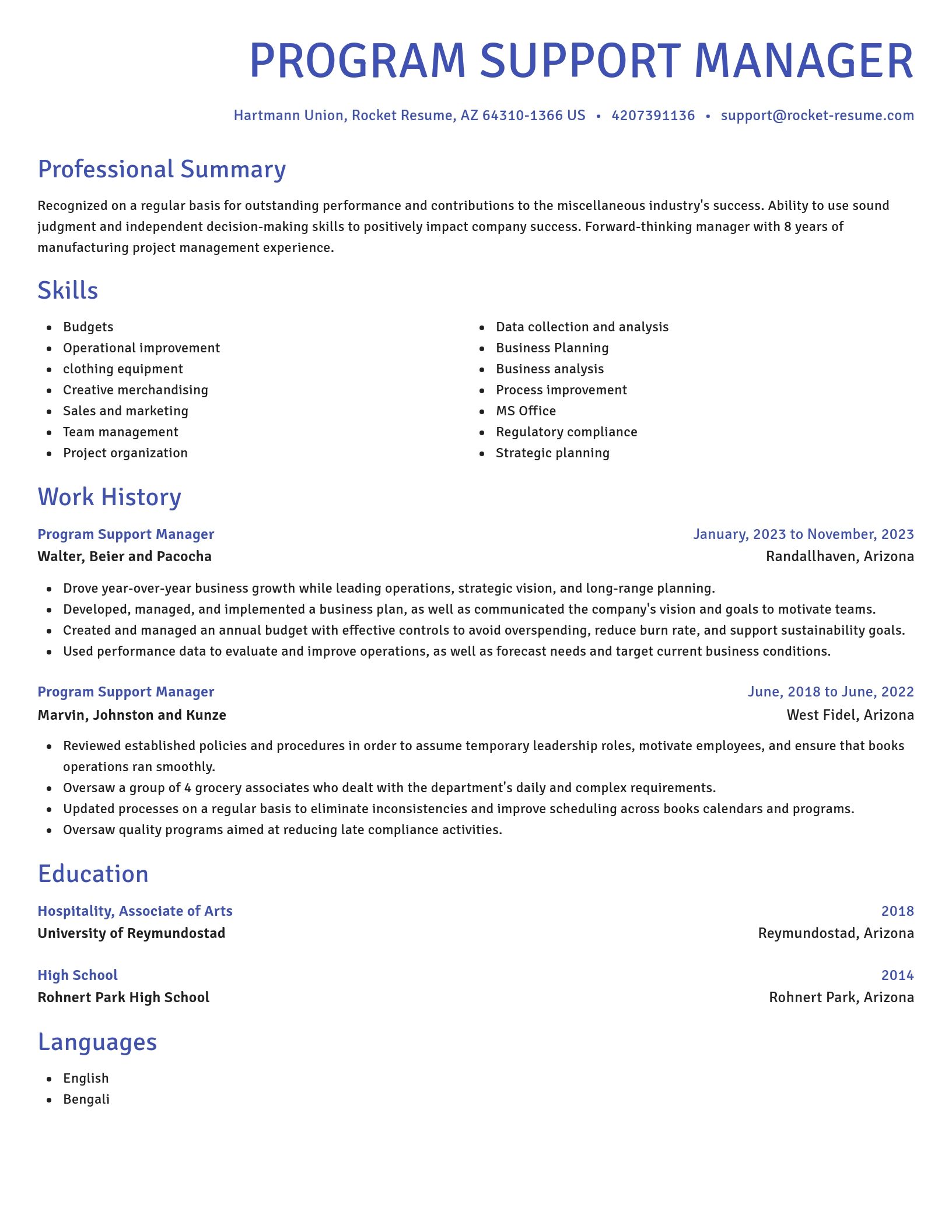 Novel resume template