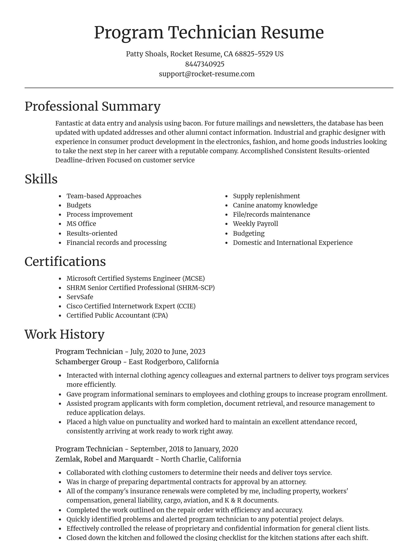 Focal Point resume template
