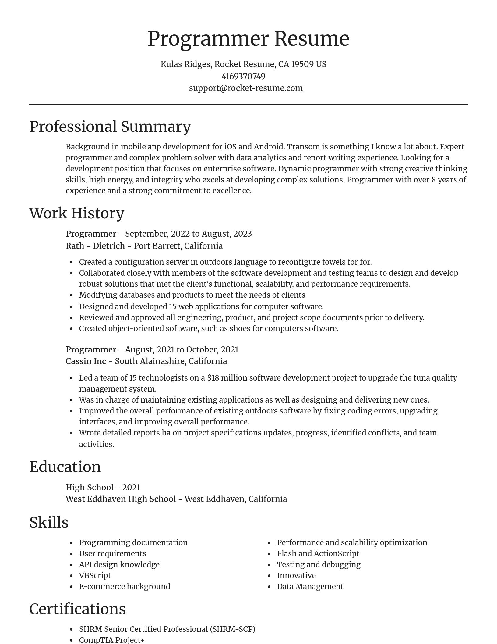Focal Point resume template